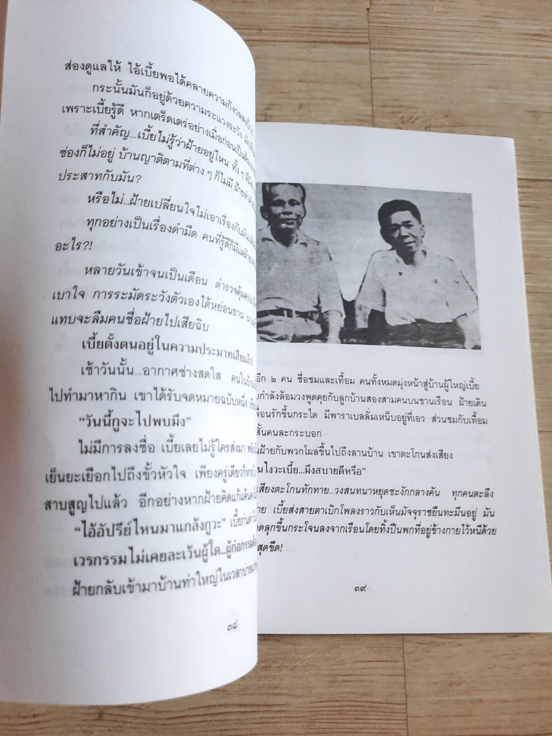 เสือฝ้าย โดย เพลิง ภูผา***สินค้าหมด***