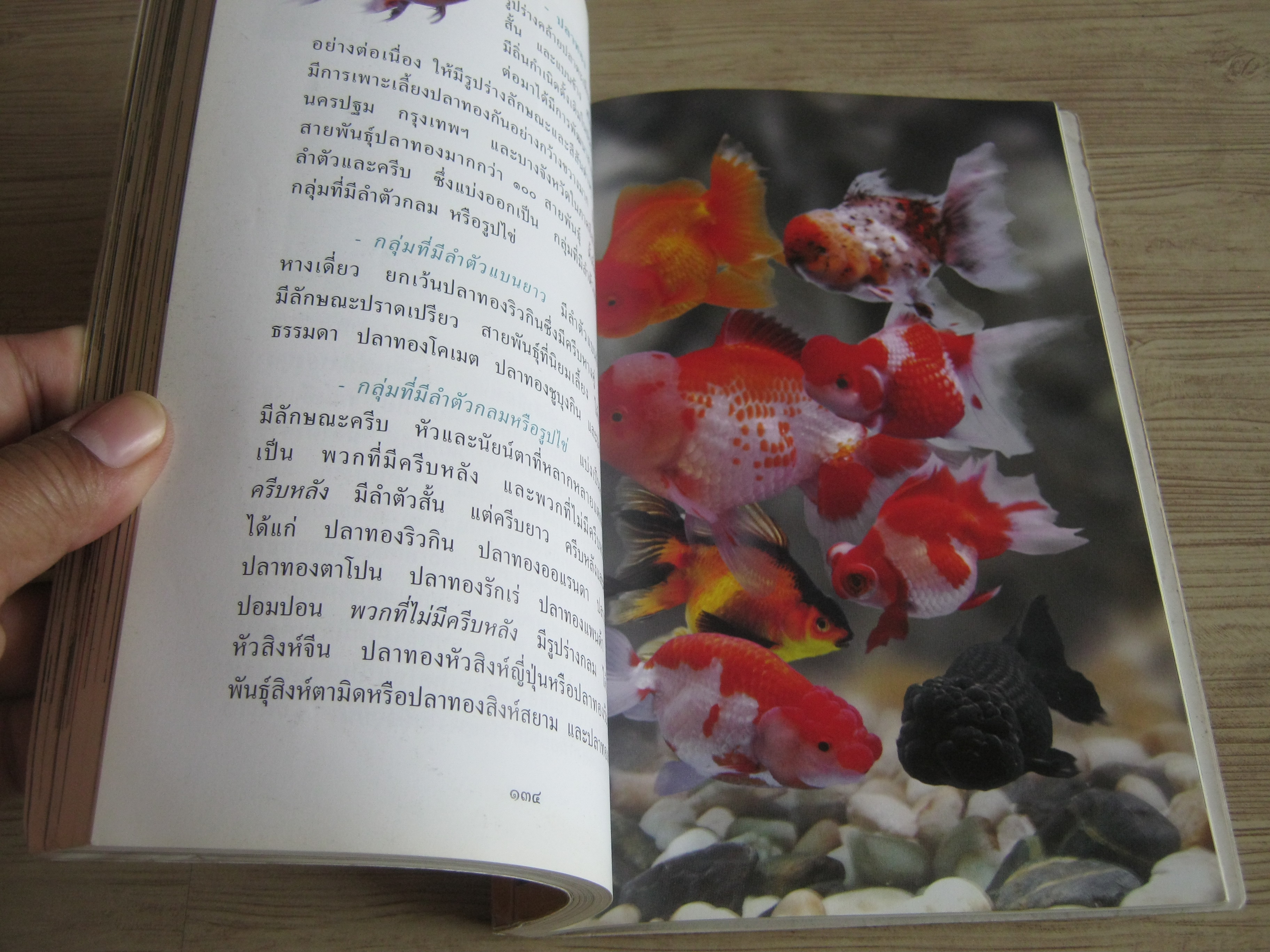 สารานุกรมไทยสำหรับเยาวชน ฉบับเสริมการเรียนรู้ เล่ม ๗ นก ผีเสื้อ ปลาสวยงาม