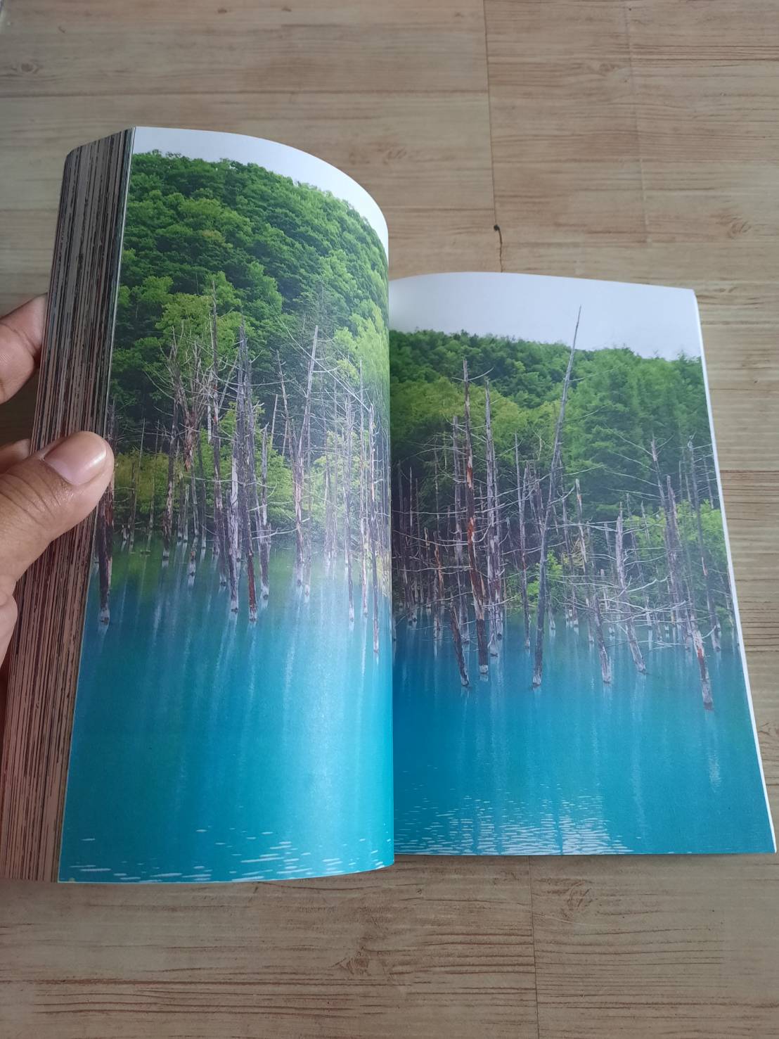 เที่ยวญี่ปุ่นไม่ซ้ำใคร เที่ยวญี่ปุ่นดอทคอม เรื่องและภาพ