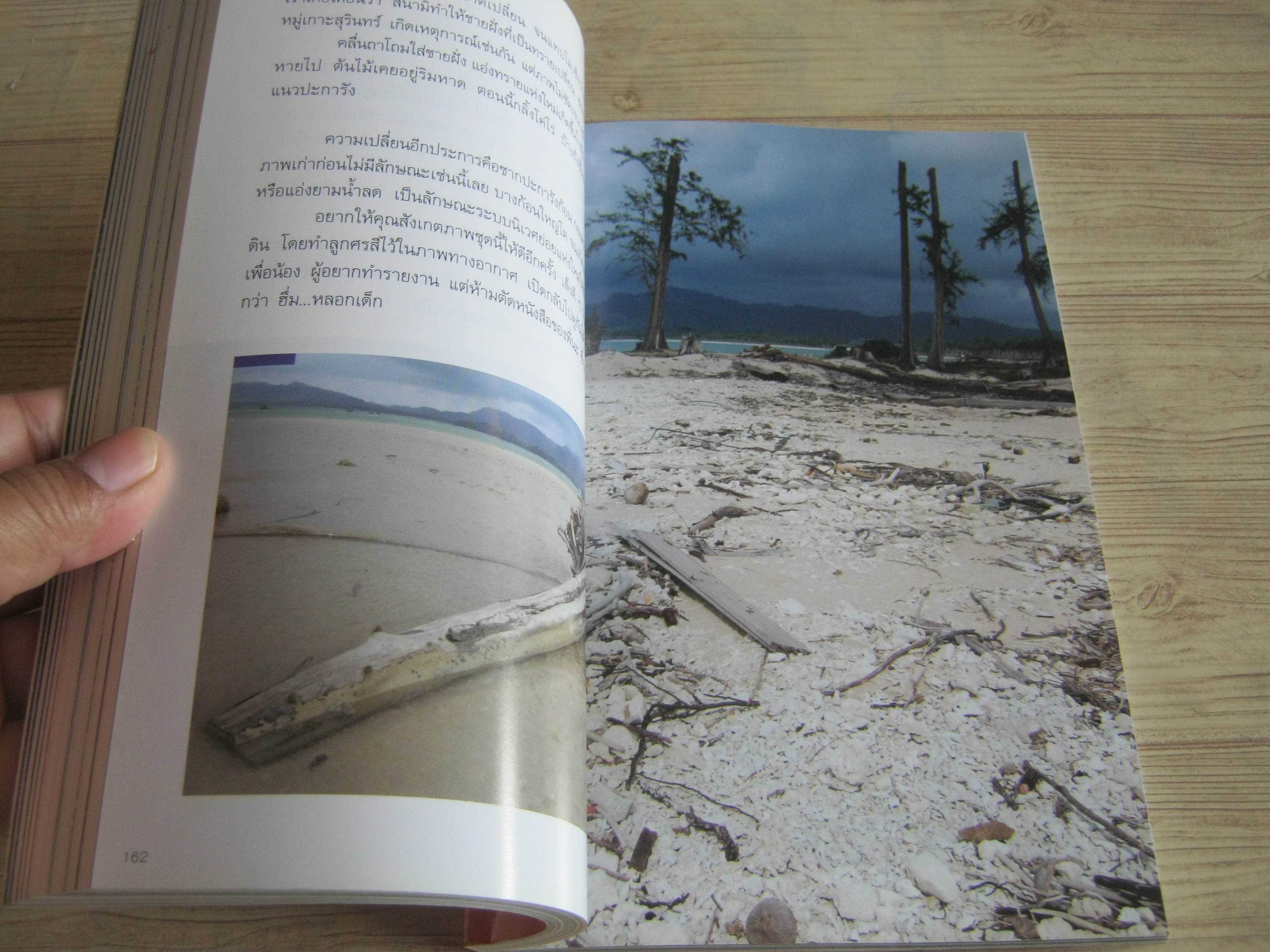 คู่มืออันดามัน ปะการัง พังงา สึนามิ โดย ธรณ์ ธำรงนาวาสวัสดิ์และศักดิ์อนันต์ ปลาทอง