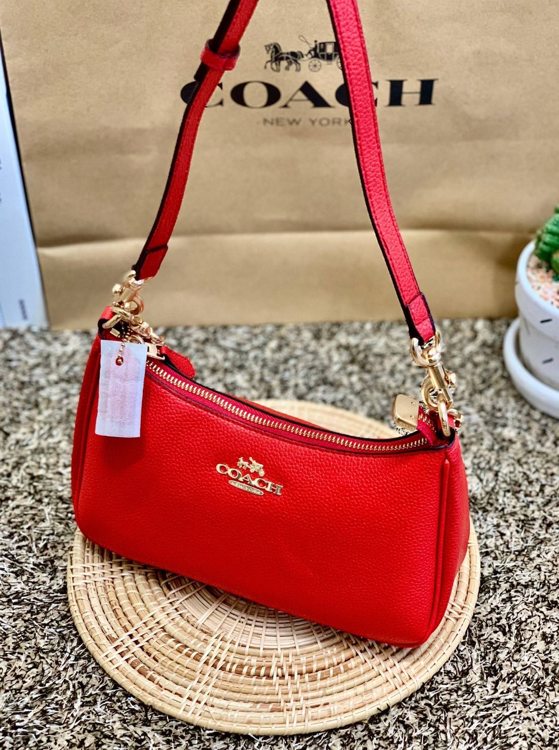 พร้อมส่งครบสี สวยทุกสีเลยค่า😘 ((CA173//CA209//CA548)) COACH TERI SHOULDER BAG 🔹กระเป๋าทรงพอช ในรูปแบบหนังแท้ หนังนิ่มสวยมากค่ะ