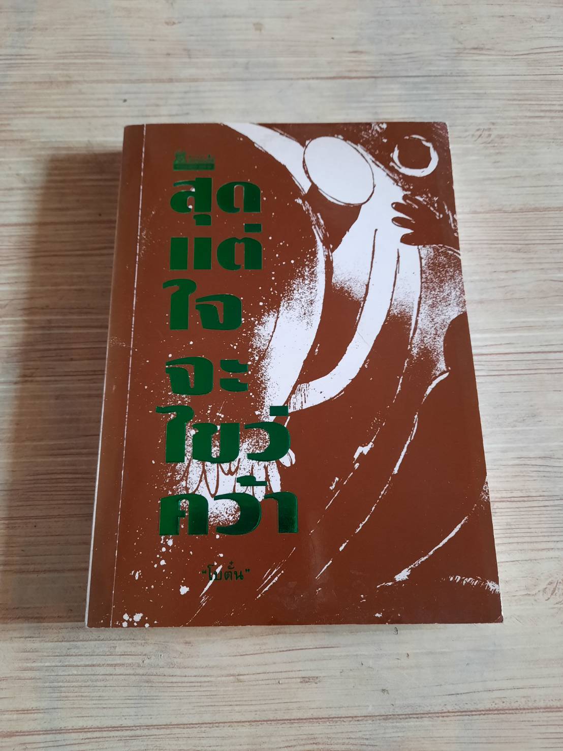 สุดแต่ใจจะไขว่คว้า "โบตั๋น" เขียน