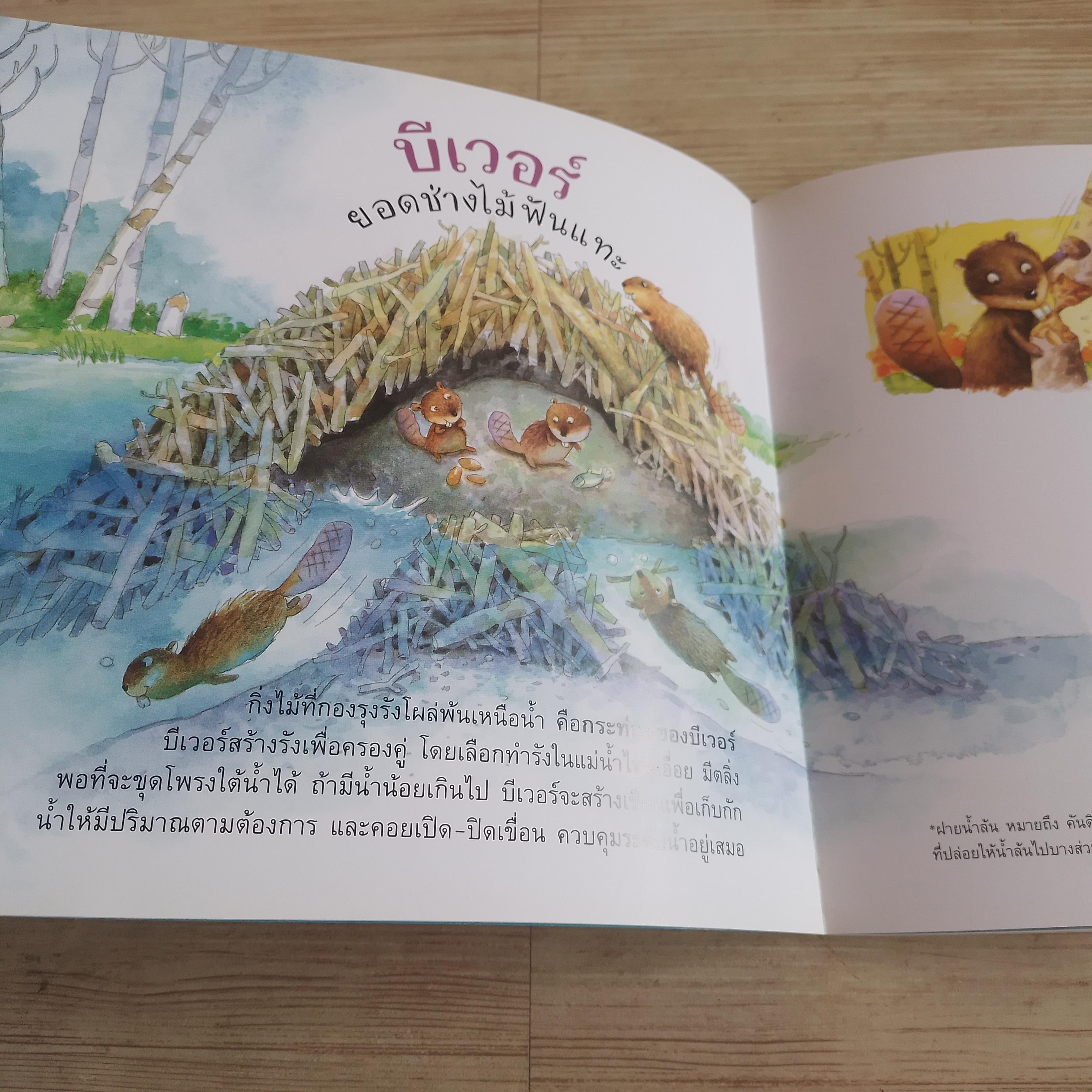หนังสือชุดวิทยาศาสตร์รุ่นเยาว์ แปลกแต่จริง บ้านฉันมหัศจรรย์ โกศล ทองด้วงและคณะ ภาพ
