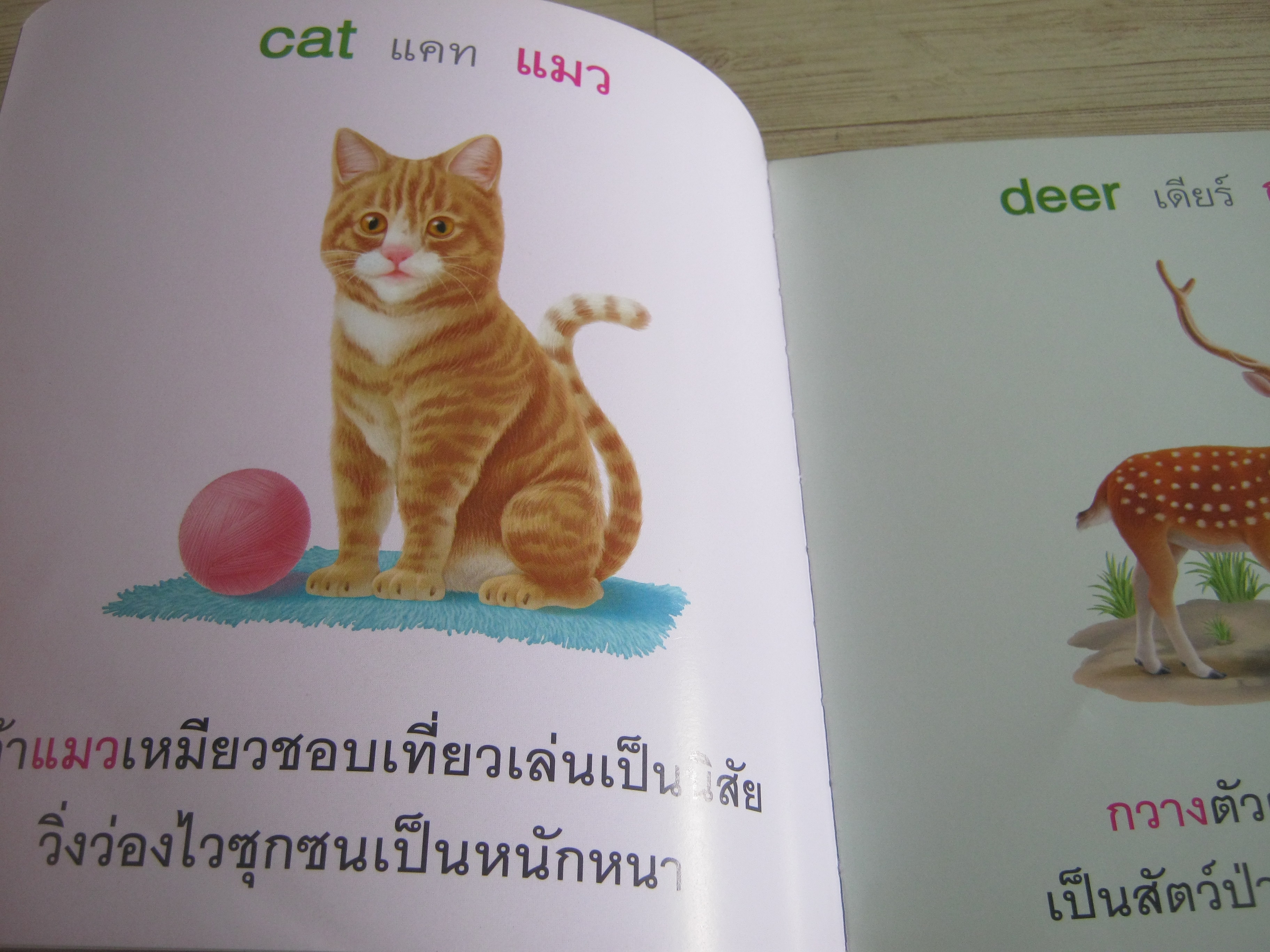 นิทานชุดเสริมความรู้เรื่องใกล้ตัว หนูชอบสัตว์น่ารัก