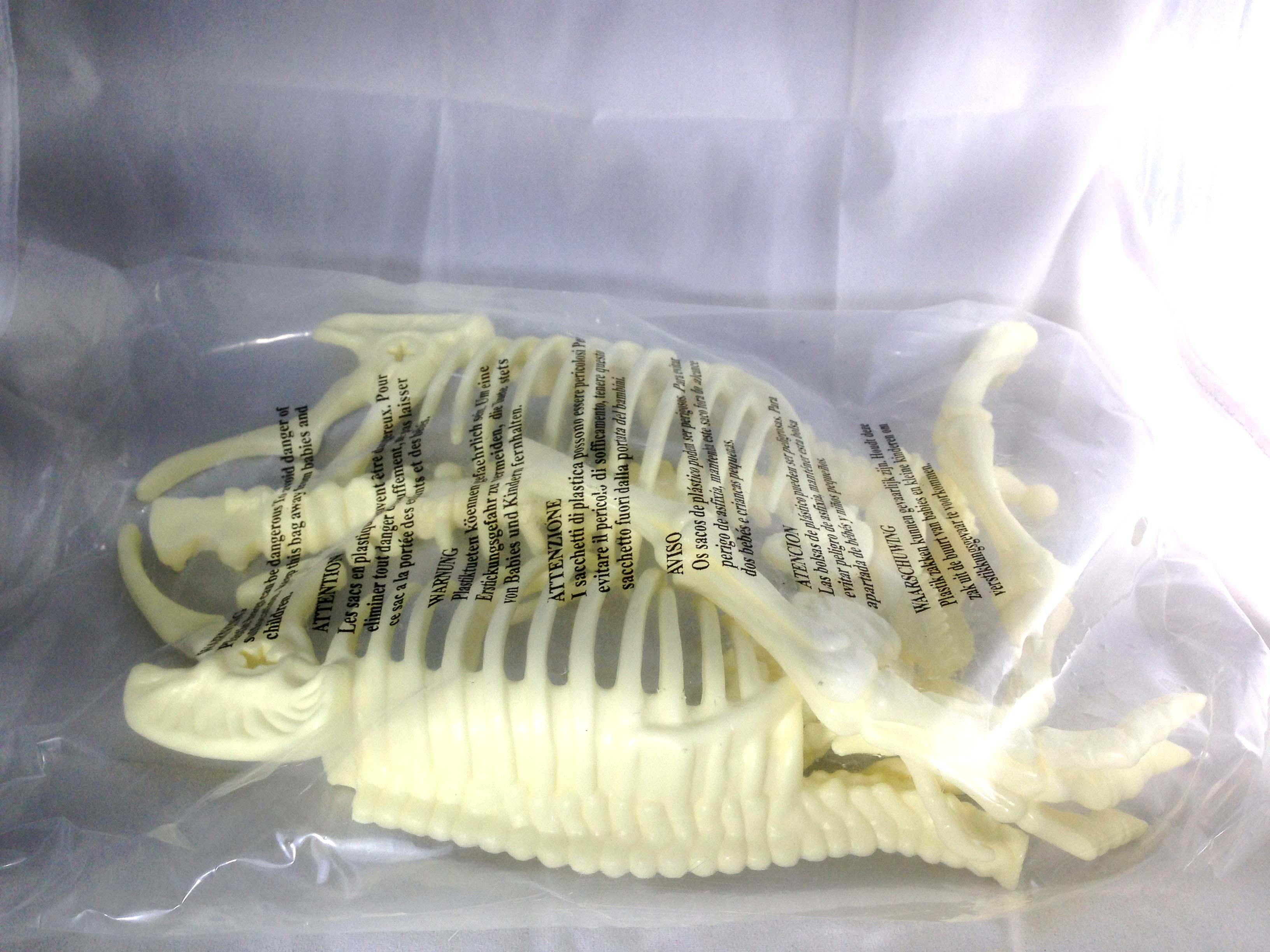 โครงกระดูกไดโนเสาร์ขนาดเล็ก(Dino Horizon)