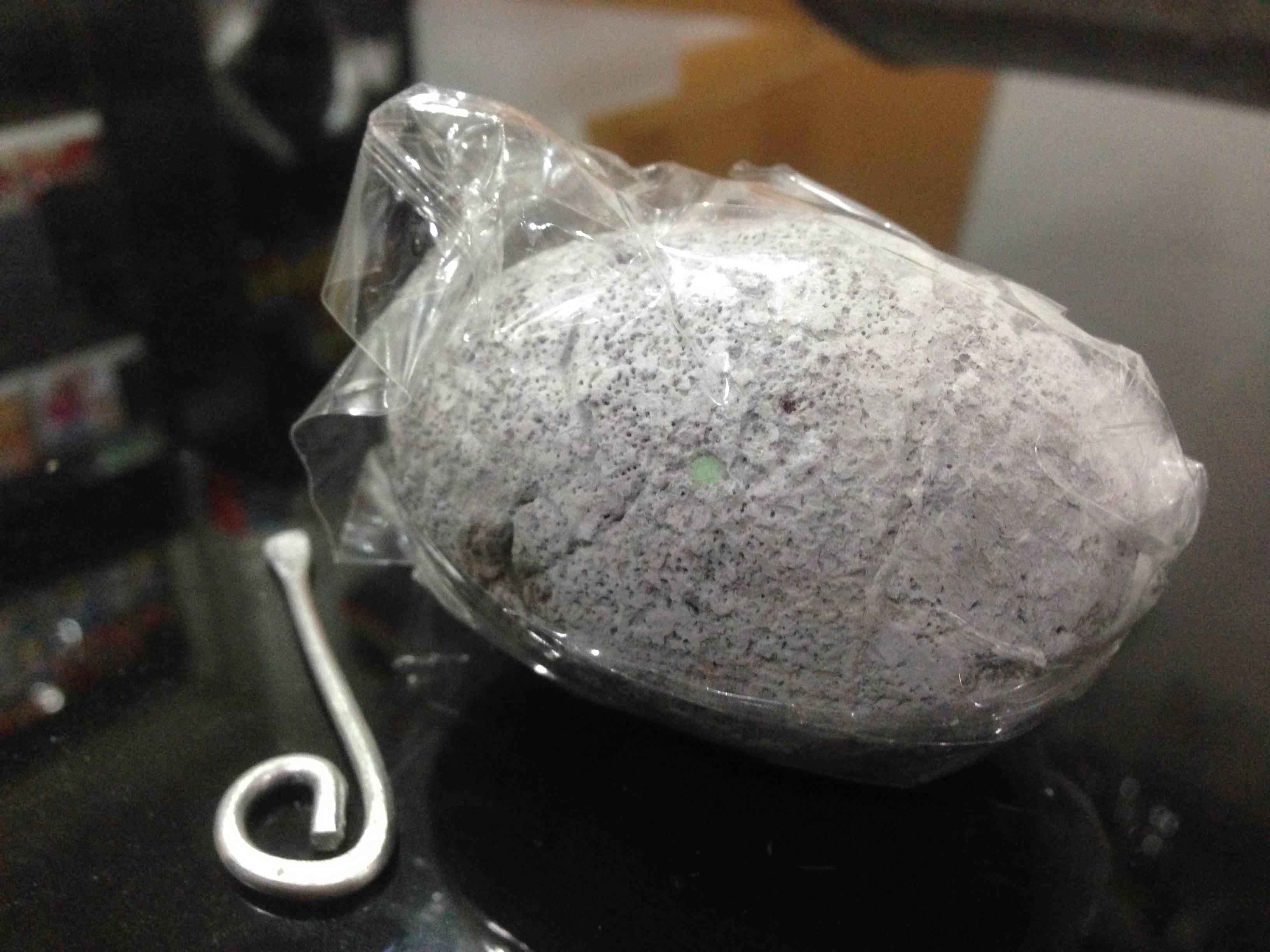 ขุดฟอสซิลไข่ไดโนเสาร์ขนาดเล็ก