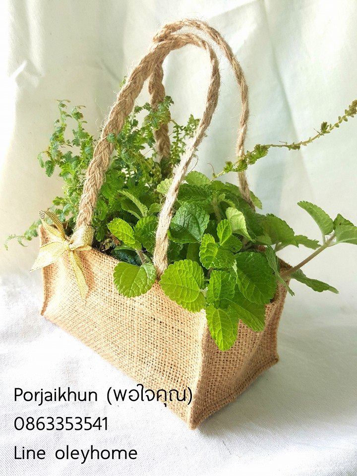 ของรับไหว้ผู้ใหญ่ต้นไม้แพ็คคู่ใส่ในถุงผ้ากระสอบเก๋ๆ
