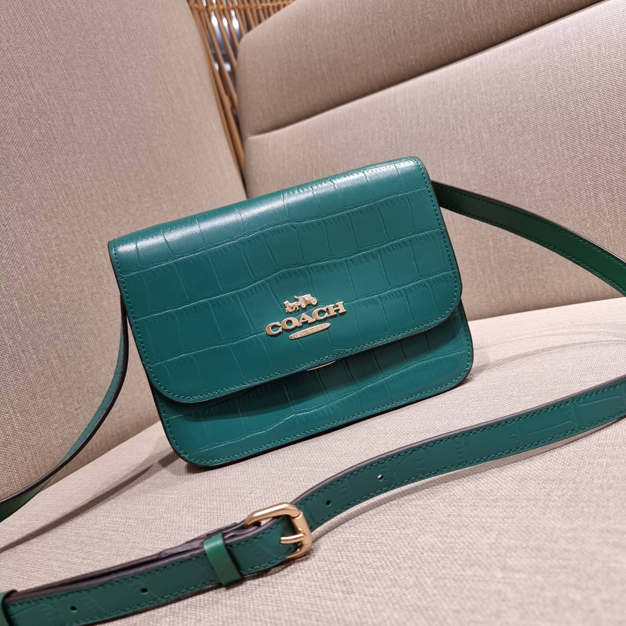 COACH C5631 BRYNN FLAP CROSSBODY แซ่บที่สุด ใหม่ที่สุด!! คอลเลคชั่นใหม่!! มองยังไงก็หลงรักละสายตาไม่ไหว กระเป๋าสะพายข้างลุคไฮน์ ที่ดีไซน์ออกมาได้ปัง และดูแพงมากๆ ด้วยดีเทลคลาสสิค รูปทรงใช้งานง่าย เรียบๆแต่มีดีเทล วัสดุหนังลายจระเข้ สวยม้าก!!! เปิด-ปิดด้วย