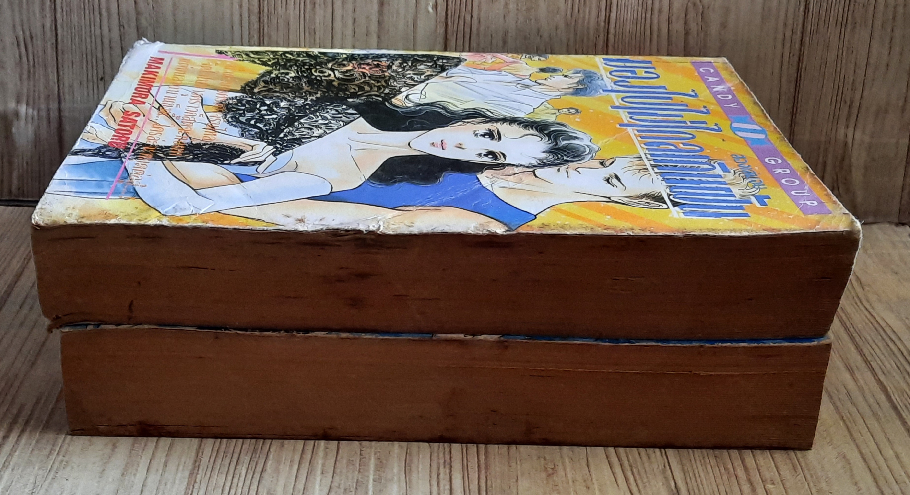 มองไปไม่ไกลเกินฝัน ครบชุด 2 เล่มจบ Makimura Satoru เขียน***สินค้าหมด****