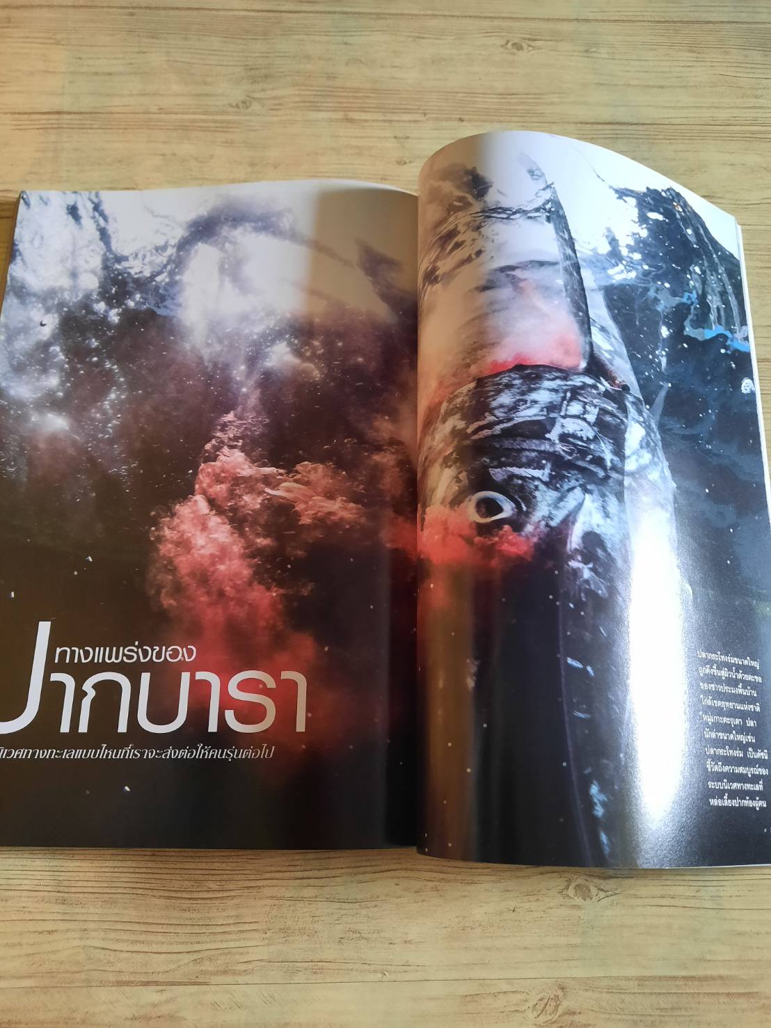 NATIONAL GEOGRAPHIC ฉบับภาษาไทย กรกฎาคม 2560 จับโกหก***สินค้าหมด***