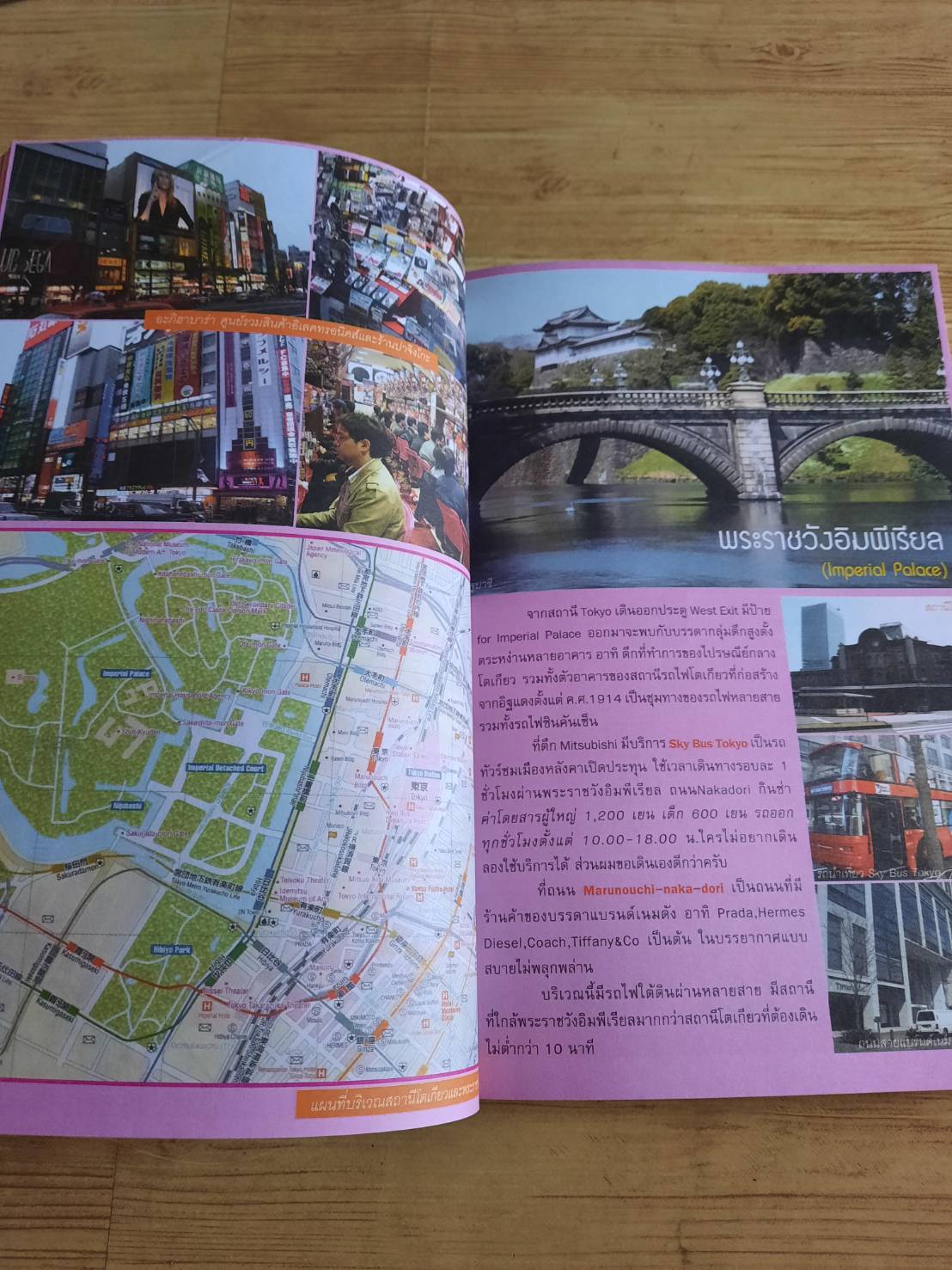 ใคร ๆ ก็ไปเที่ยวญี่ปุ่น เมื่อซากุระบานทั่วบ้านทั่วเมือง อดิศักดิ์ จันทร์ดวง เรื่องและภาพ