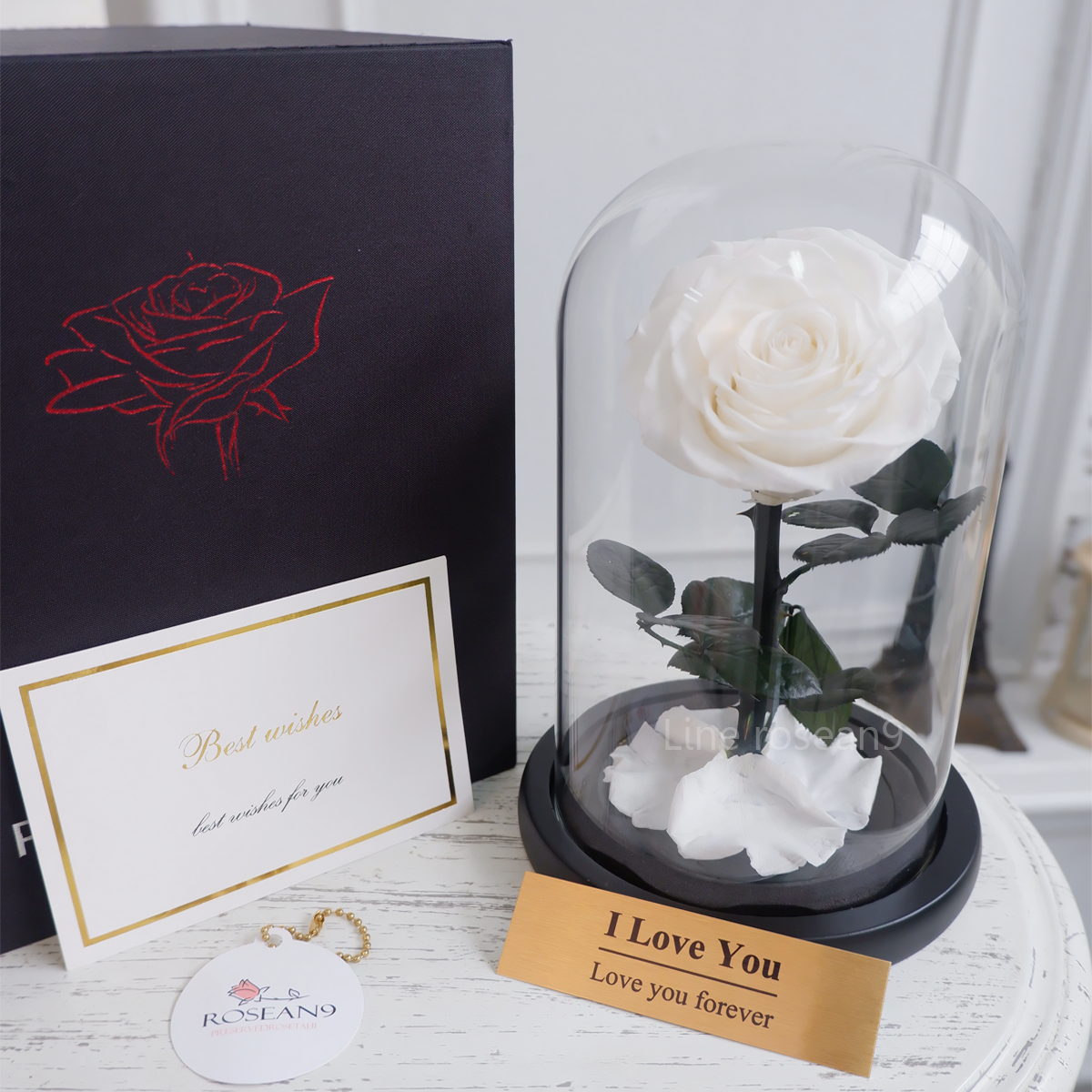 กุหลาบอมตะ กุหลาบในโหลแก้ว กุหลาบสีขาว preservedrose กุหลาบbeauty and the beast