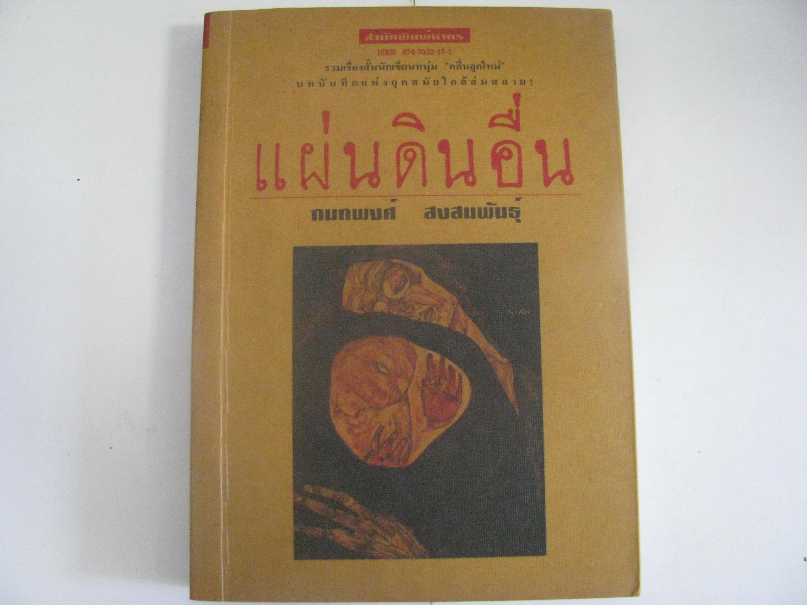 แผ่นดินอื่น กนกพงศ์ สงสมพันธุ์ เขียน***สินค้าหมด***
