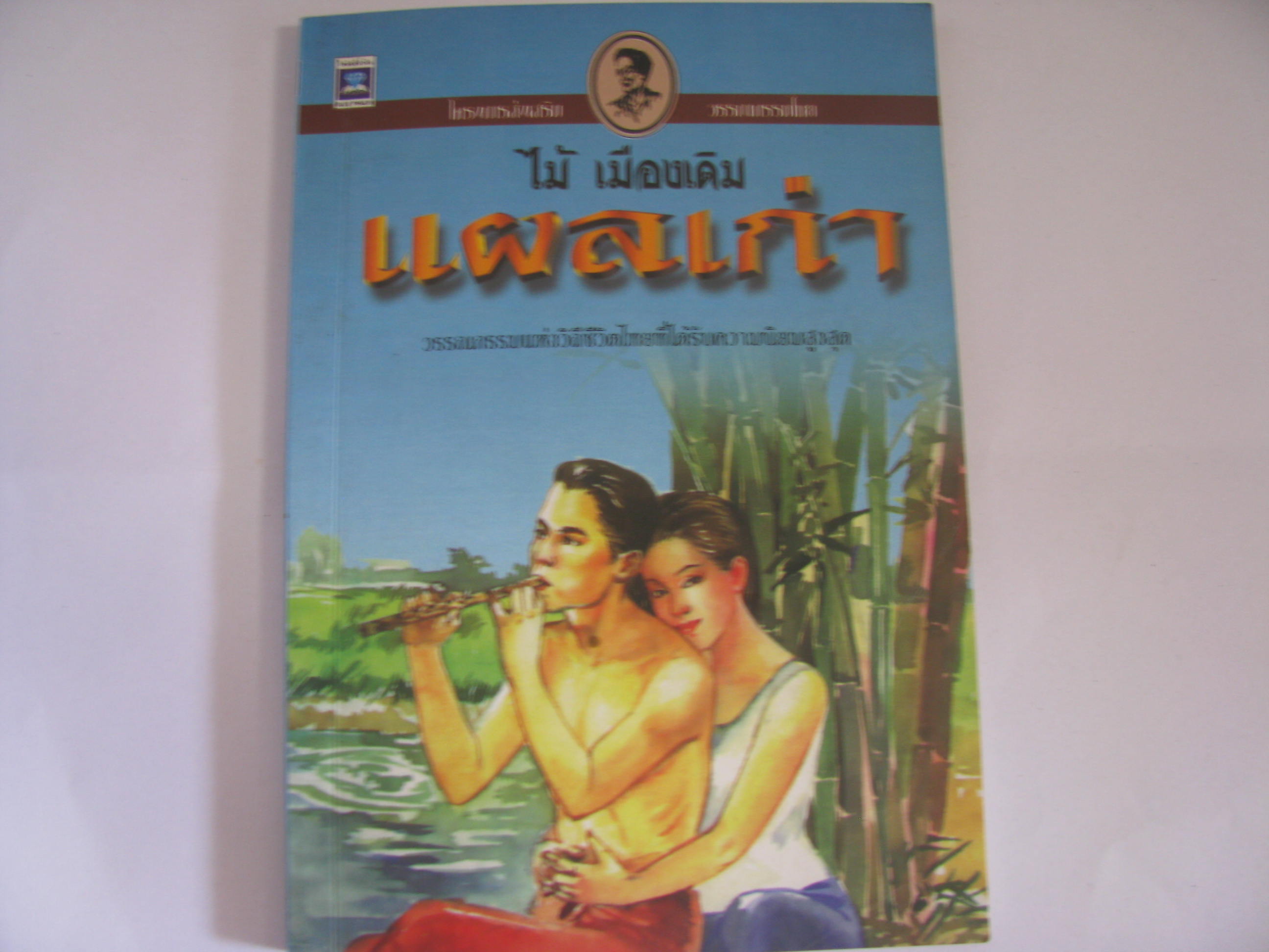แผลเก่า ไม้ เมืองเดิม เขียน***สินค้าหมด***