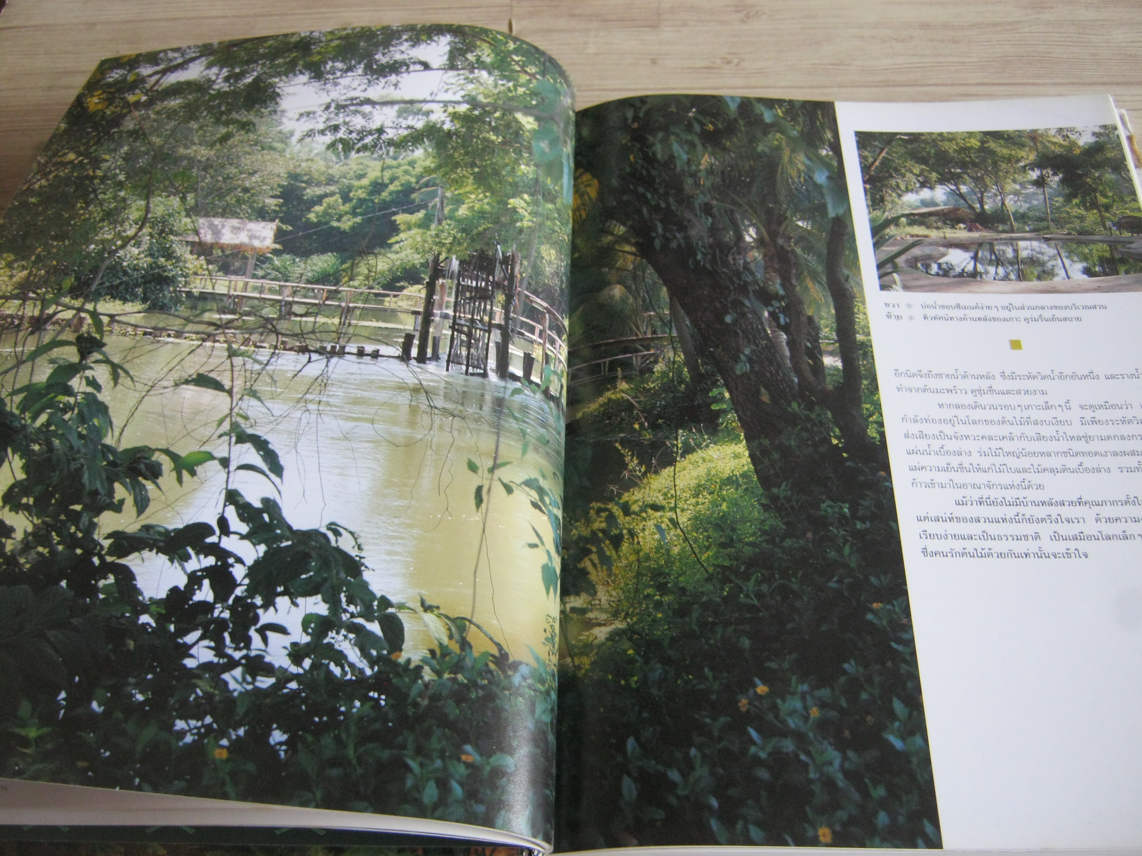 คู่มือการจัดและตกแต่ง สวนในบ้าน เล่ม 1 พิมพ์ครั้งที่ 14 โดย กองบรรณาธิการนิตยสารบ้านและสวน