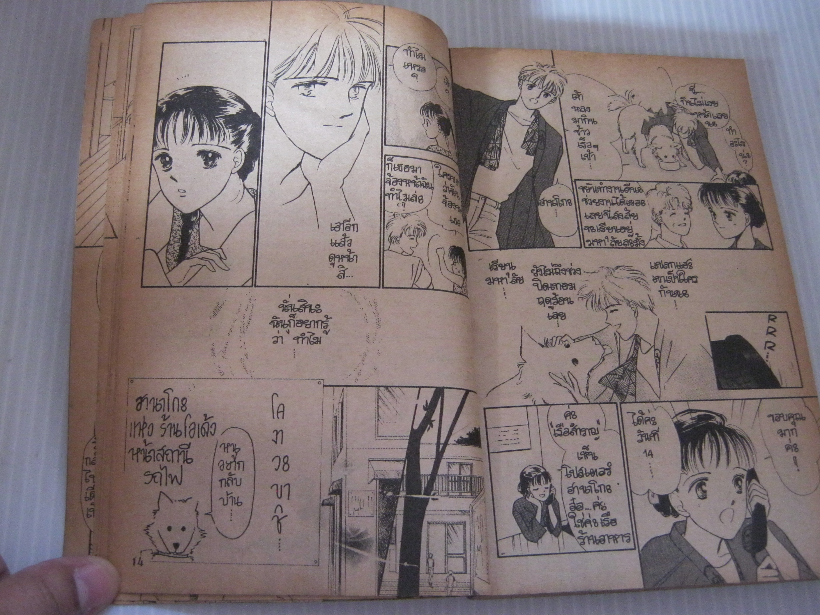 เจาะเวลามาหารัก เล่มเดียวจบ Tatsuyama Sayuri เขียน