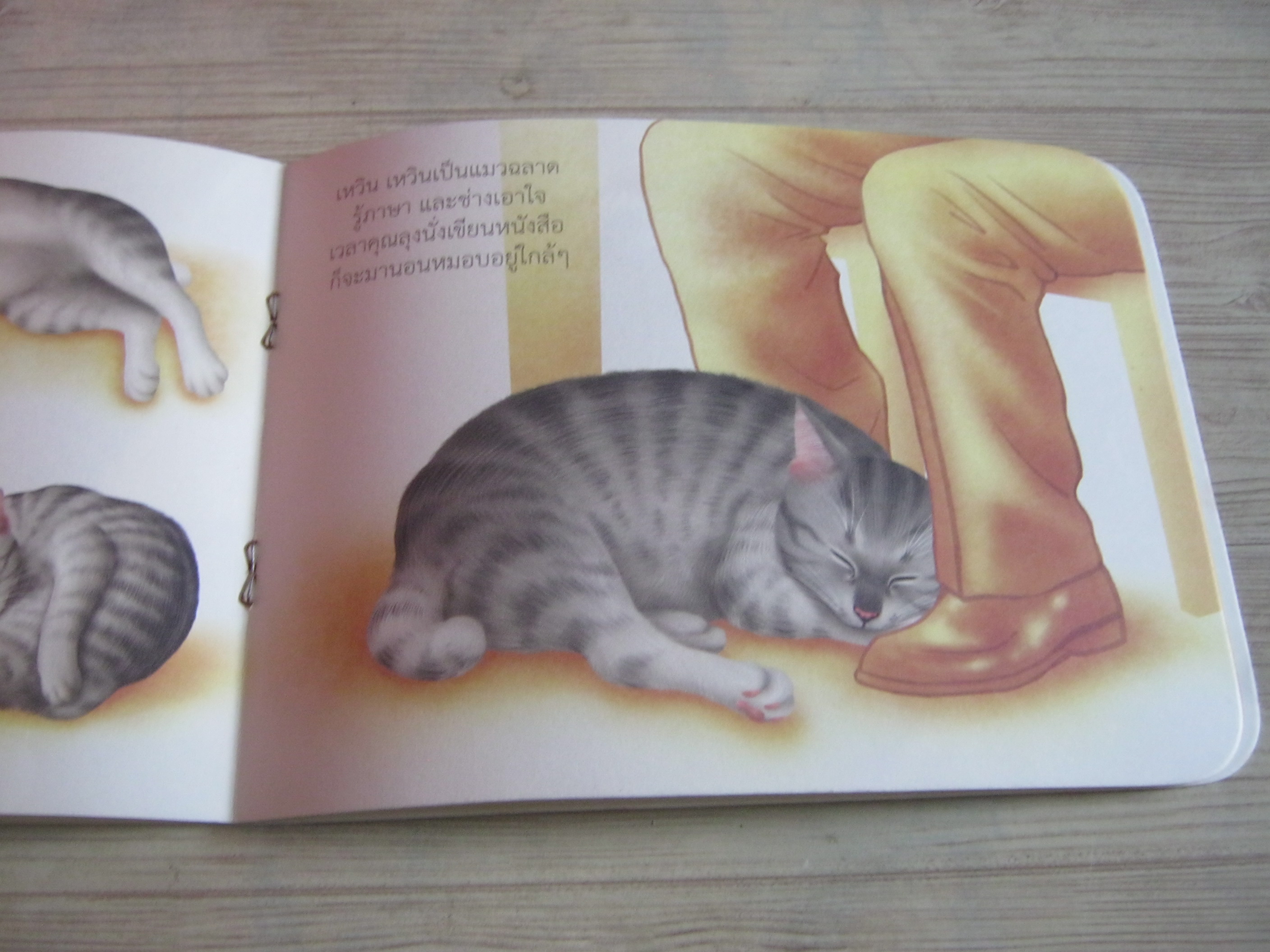 เหวิน เหวิน น้าเมฆ เรื่อง พี่พิมพ์ ภาพ