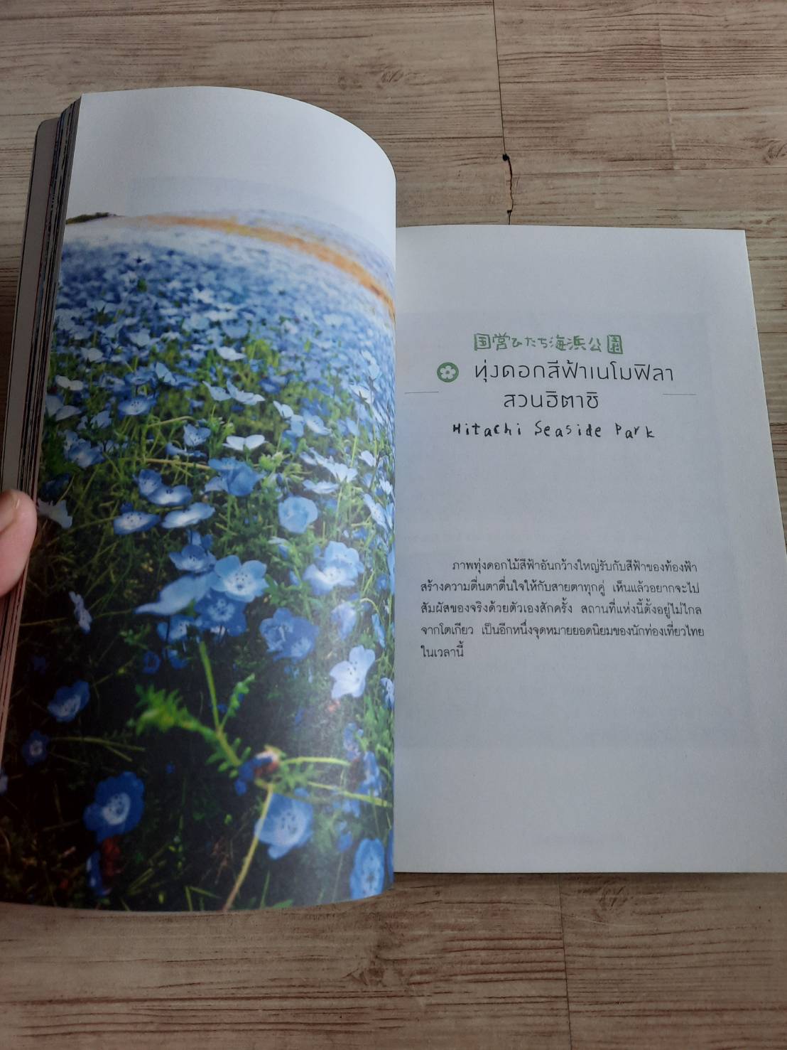 เที่ยวญี่ปุ่นไม่ซ้ำใคร เที่ยวญี่ปุ่นดอทคอม เรื่องและภาพ