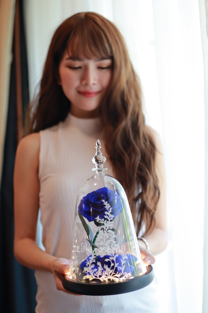 กุหลาบในโดมแก้ว Bell