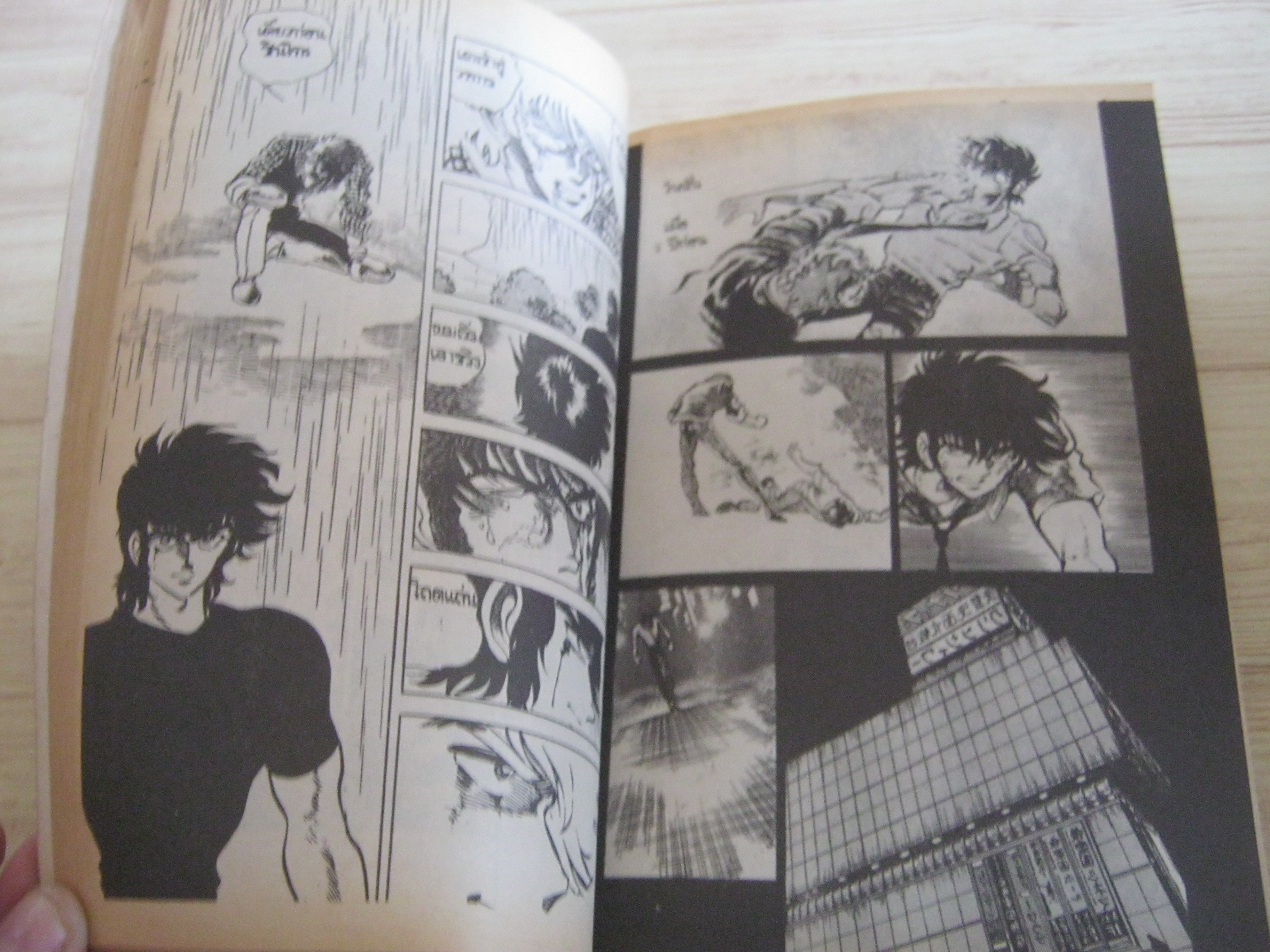 นักชกอหังการ เล่ม 2 เล่มจบ