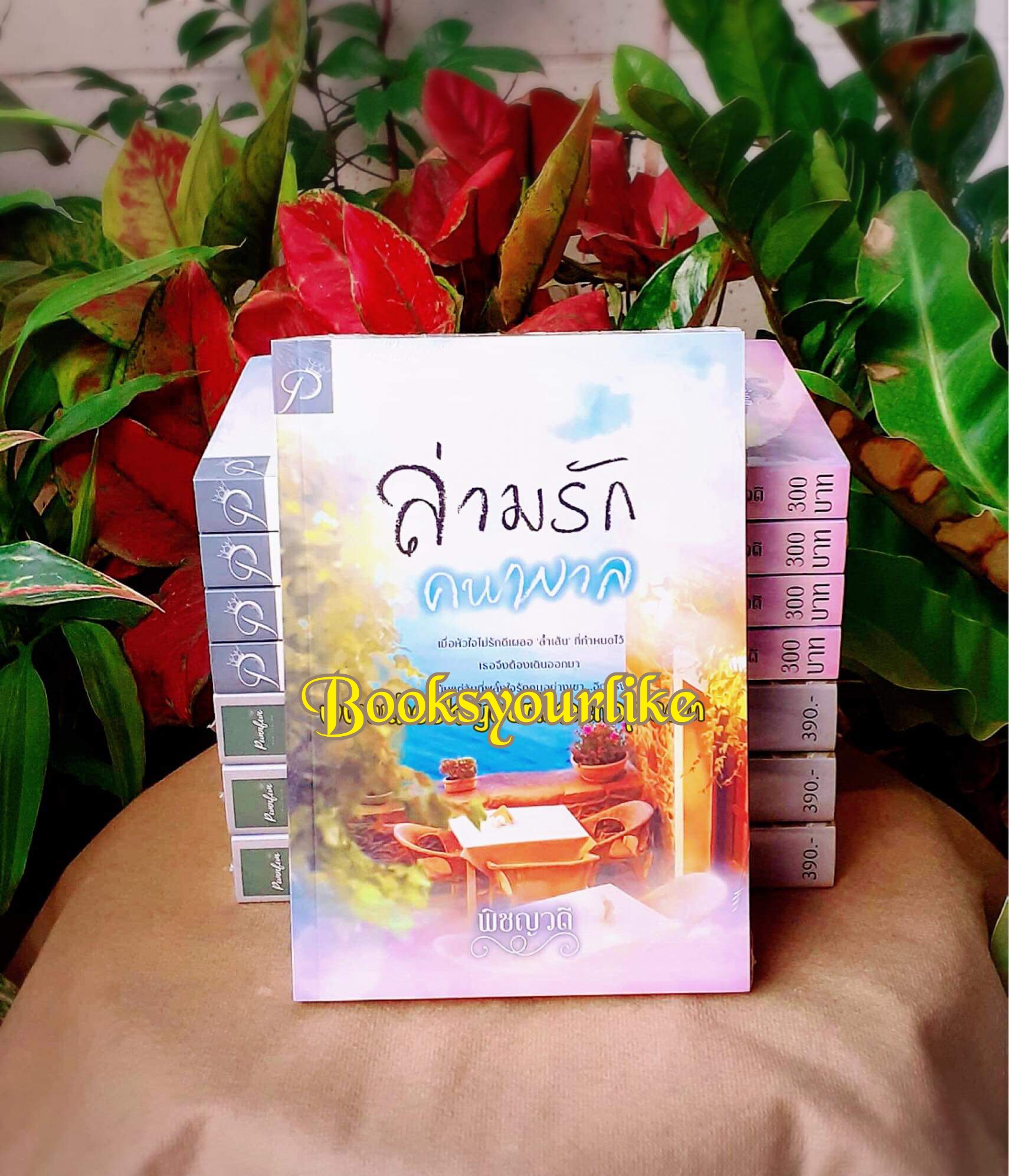 ล่ามรักคนพาล,ผู้แต่ง,พิชญวดี,นิยายรักทำมือ