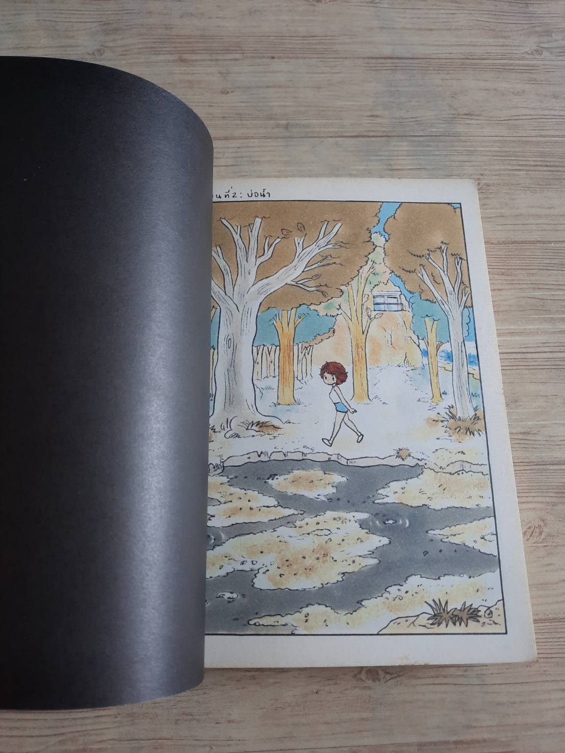 ชิงช้า 1 วิศุทธิ์ พรนิมิตร เรื่องและภาพ