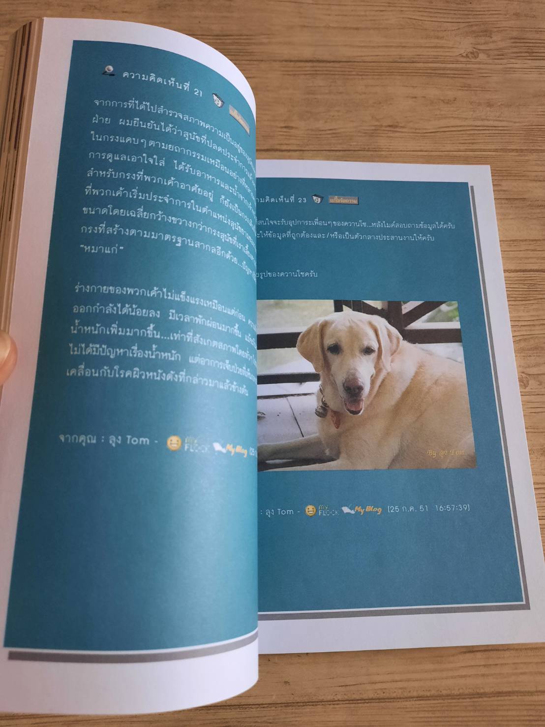 ใครว่าป้าชื่อ...วองโซ ประทานพร สิงหะ เขียน