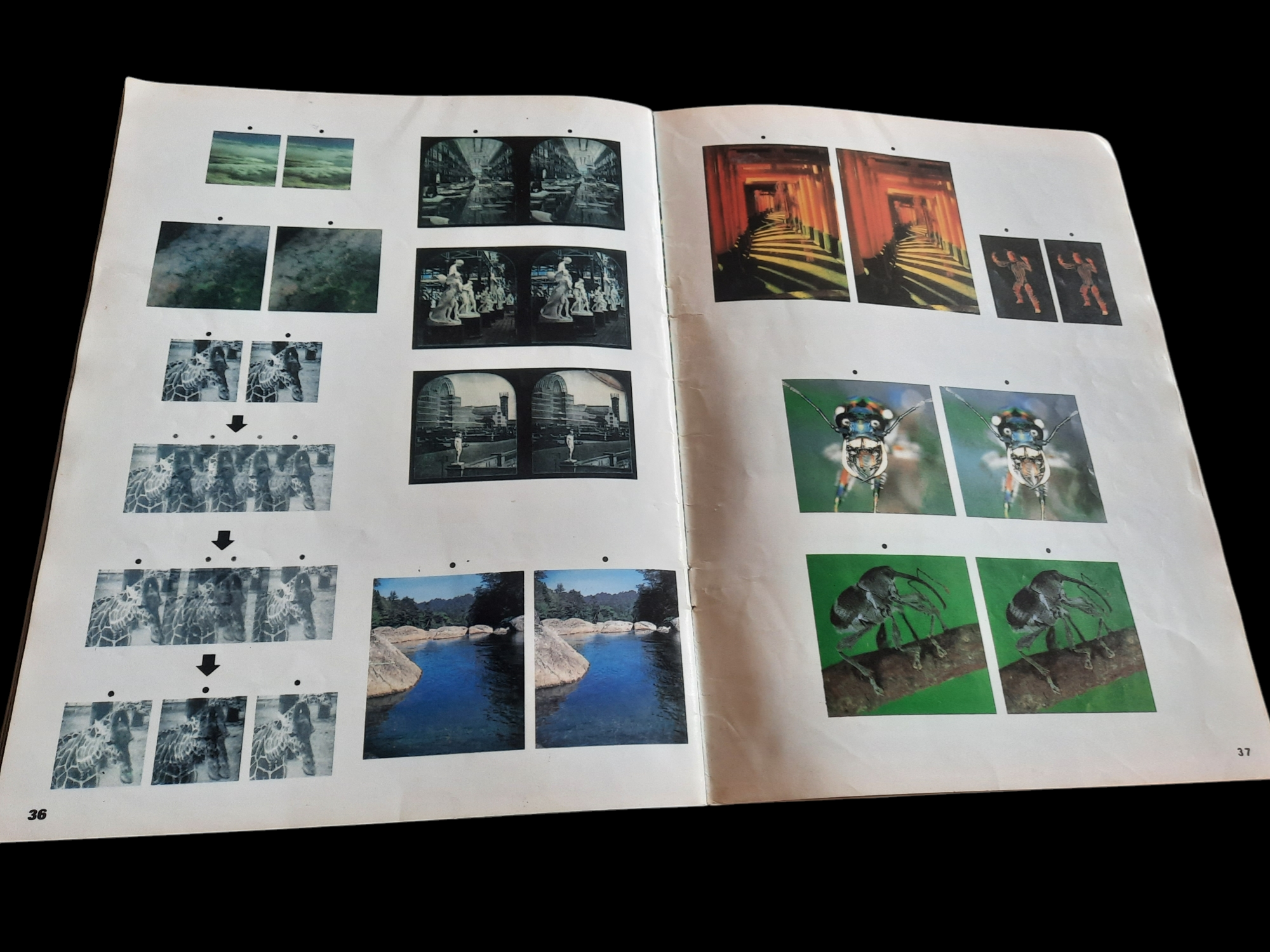 มิติพิศวง ภาพมหัศจรรย์ 2 3 D