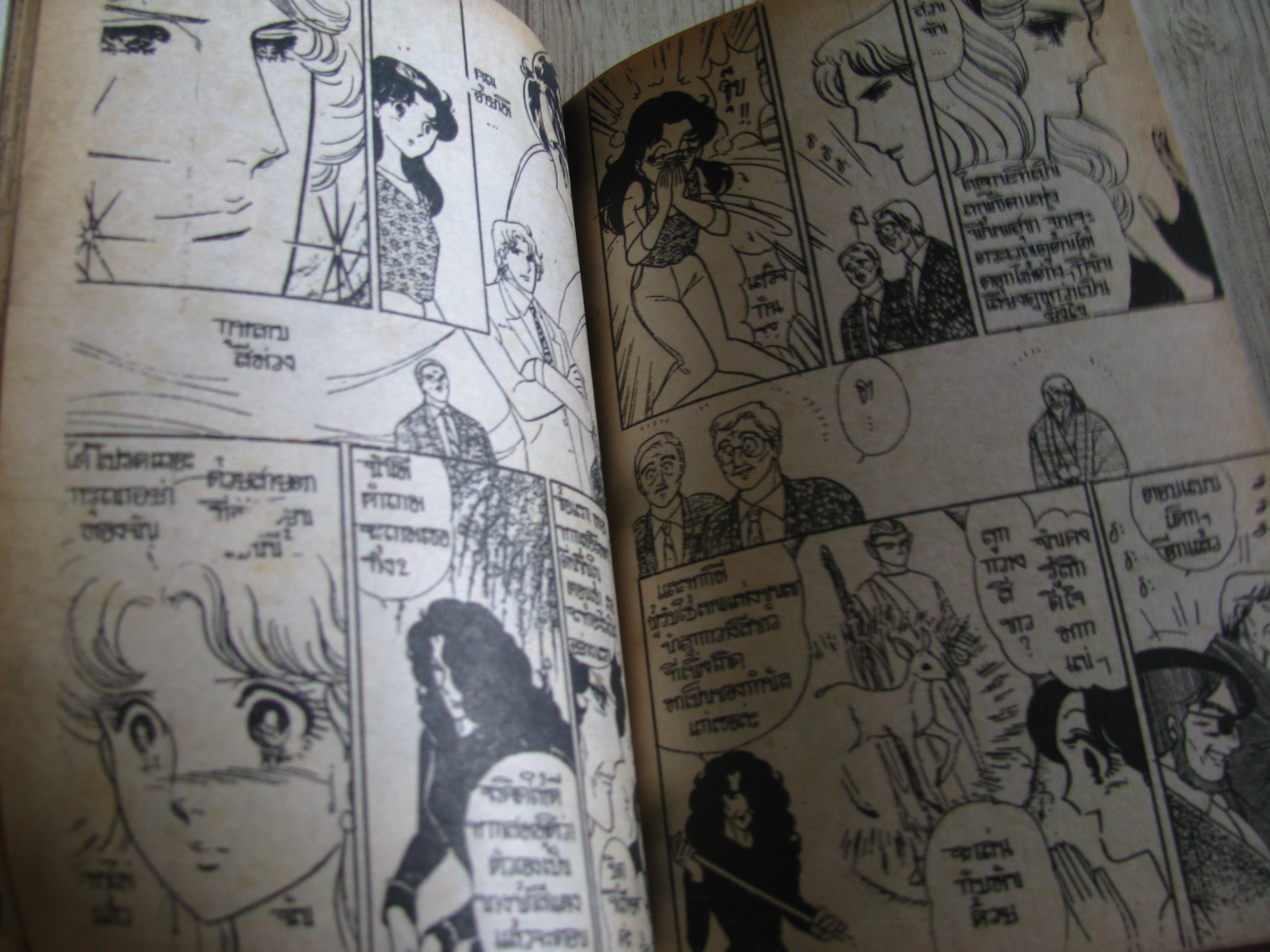 นักรักโลกมายา เล่ม 49