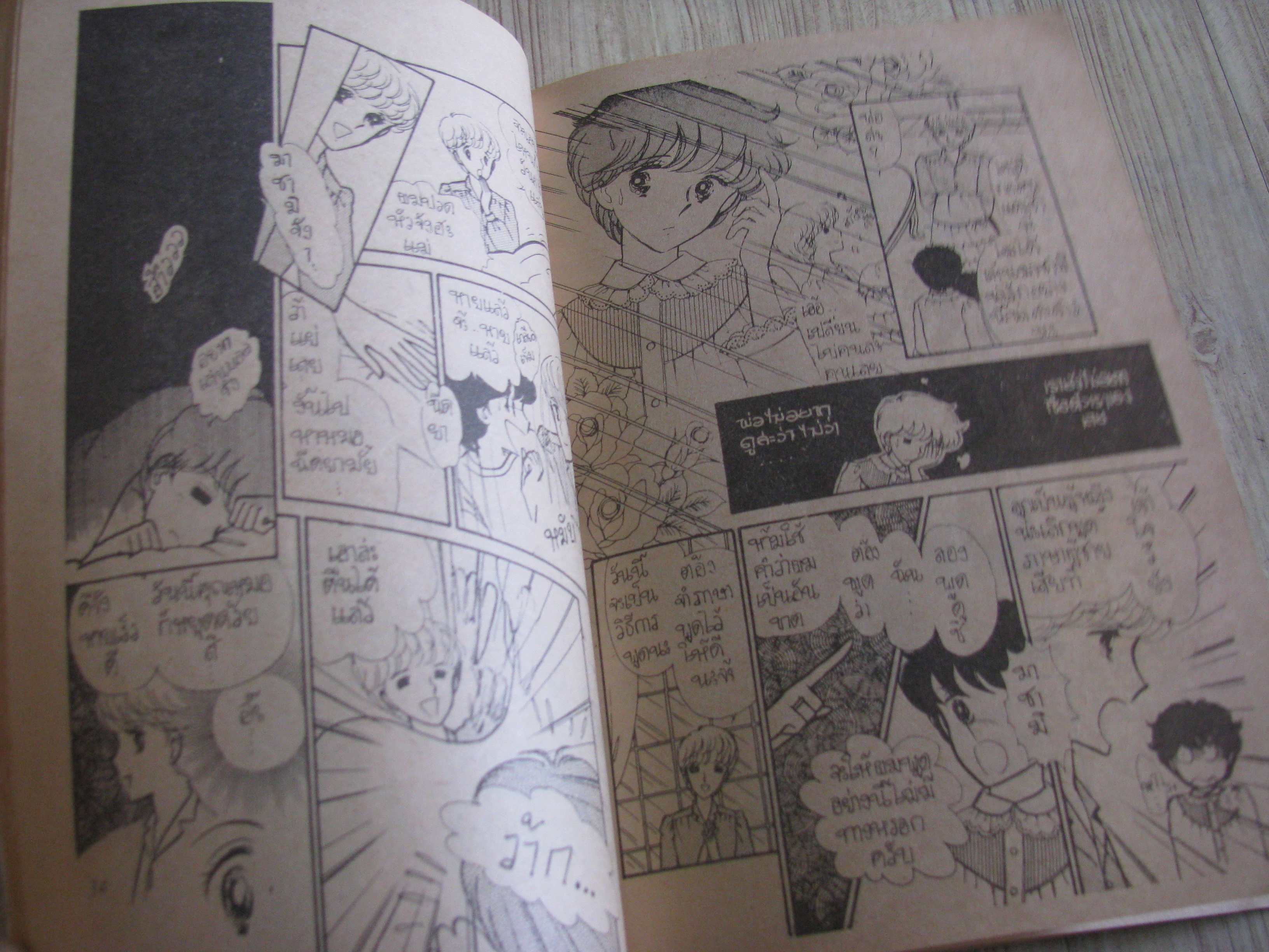 ฝากฝันบนฟากฟ้า เล่มเดียวจบ