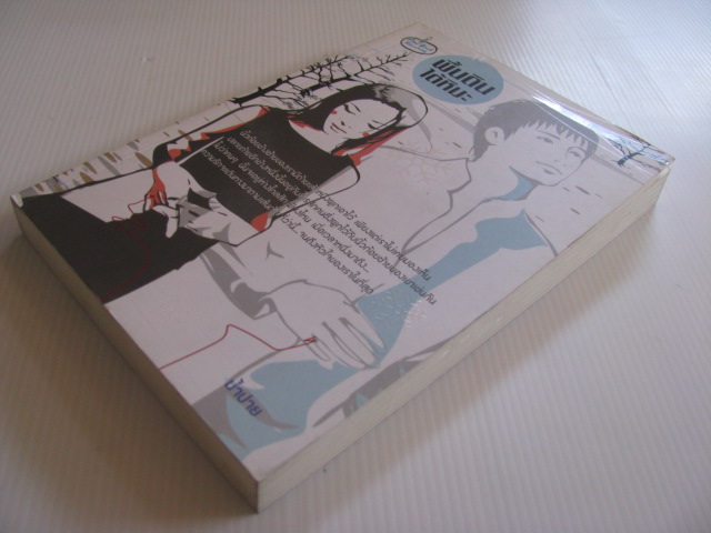 พื้นดินใต้หิมะ น้ำปาย เขียน