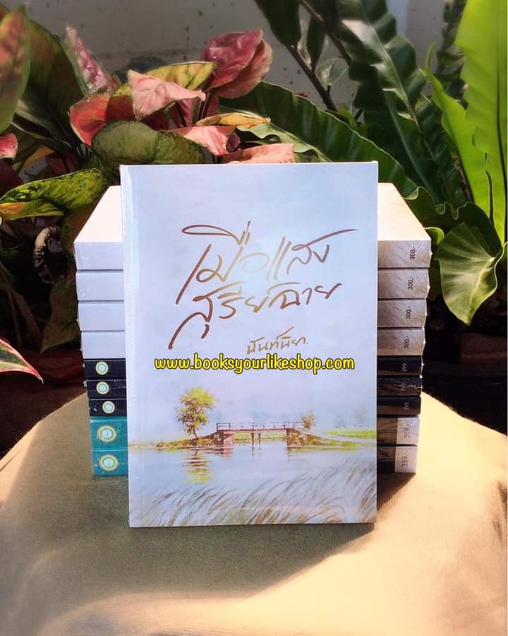 เมื่อแสงสุรีย์ฉาย,ผู้แต่ง,นันท์นิยา,นิยายรักทำมือ สนุกแนะนำค่ะ