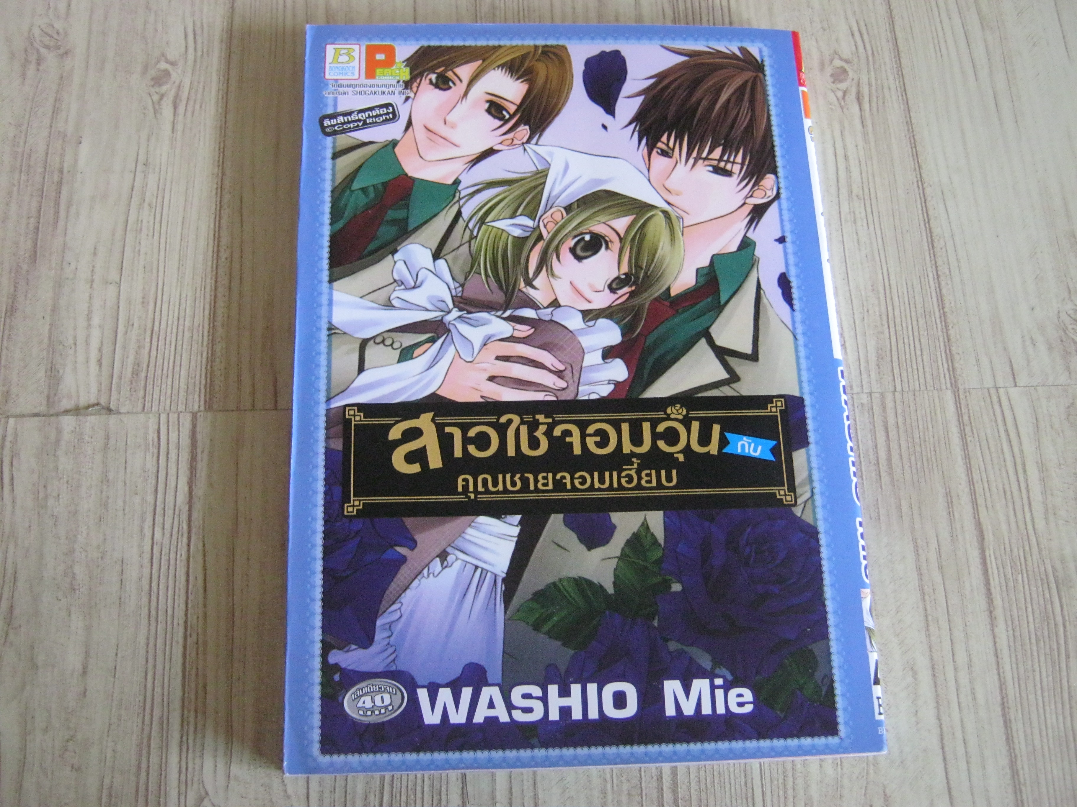 สาวใช้จอมวุ่นกับคุณชายจอมเฮี้ยบ เล่มเดียวจบ Washio Mie เขียน