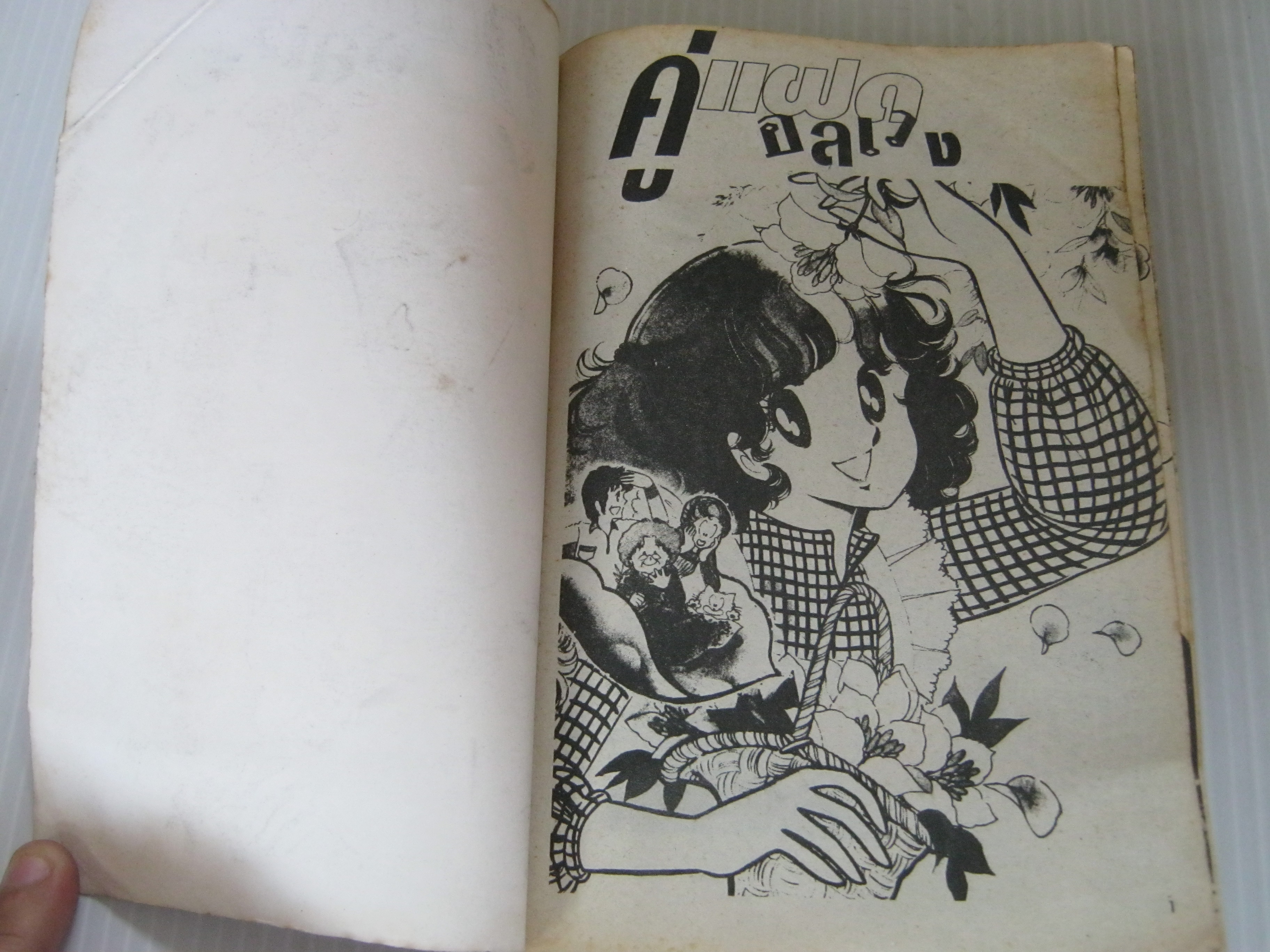 คู๋แฝดอลเวง เล่มเดียวจบ