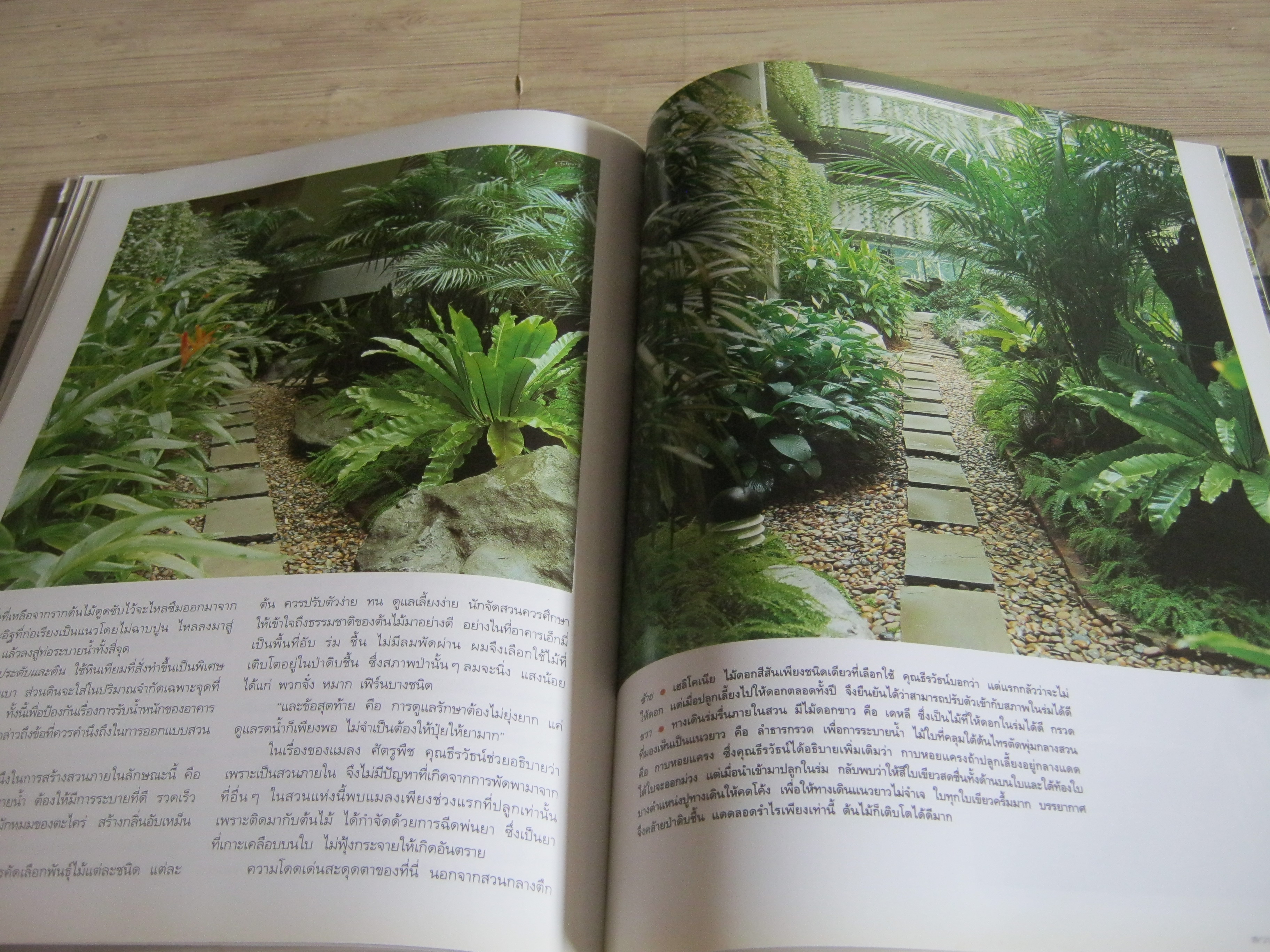 คู่มือการจัดและตกแต่ง สวนในบ้าน เล่ม 2 พิมพ์ครั้งที่ 12 โดย กองบรรณาธิการนิตยสารบ้านและสวน