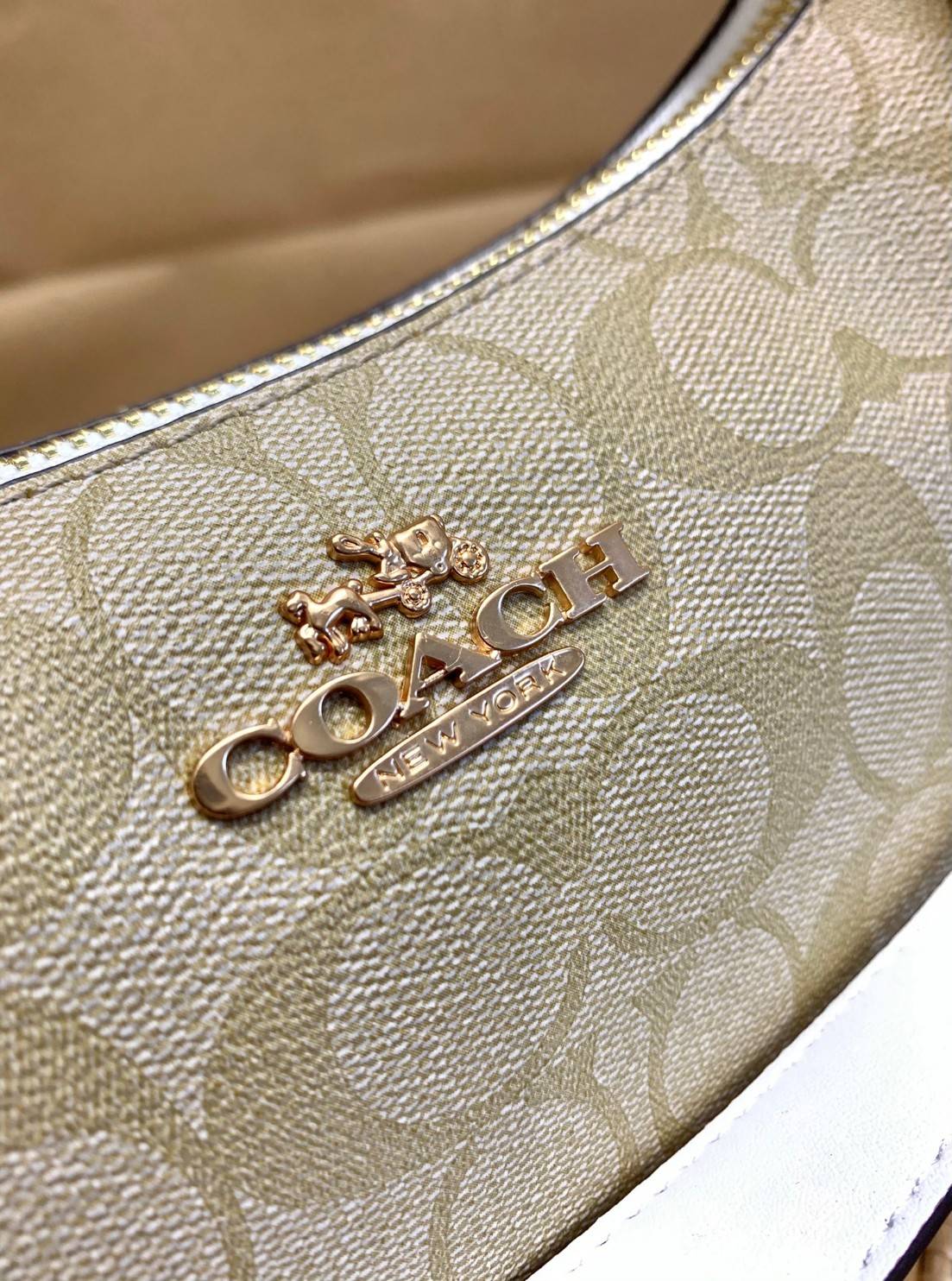 พร้อมส่งครบสี สวยทุกสีเลยค่า😘 ((CA173//CA209//CA548)) COACH TERI SHOULDER BAG 🔹กระเป๋าทรงพอช ในรูปแบบหนังแท้ หนังนิ่มสวยมากค่ะ
