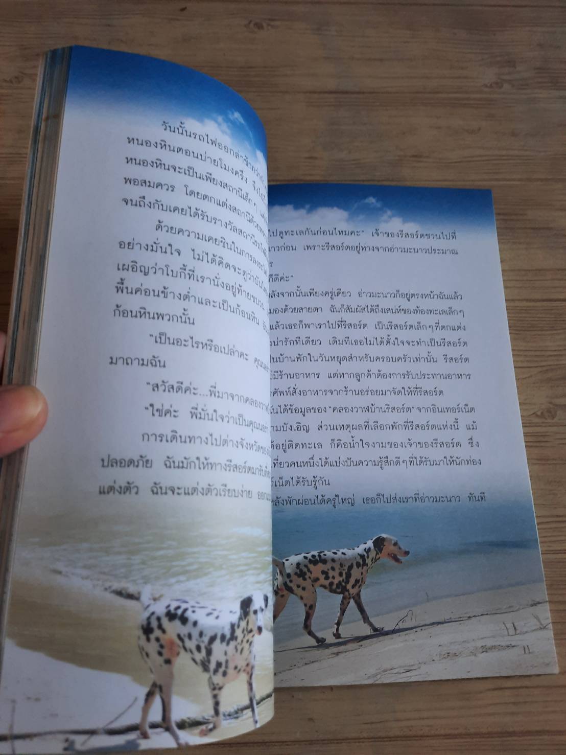 คิตตี้ขึ้นรถไฟเที่ยว นอร่า คาราอัน เขียน