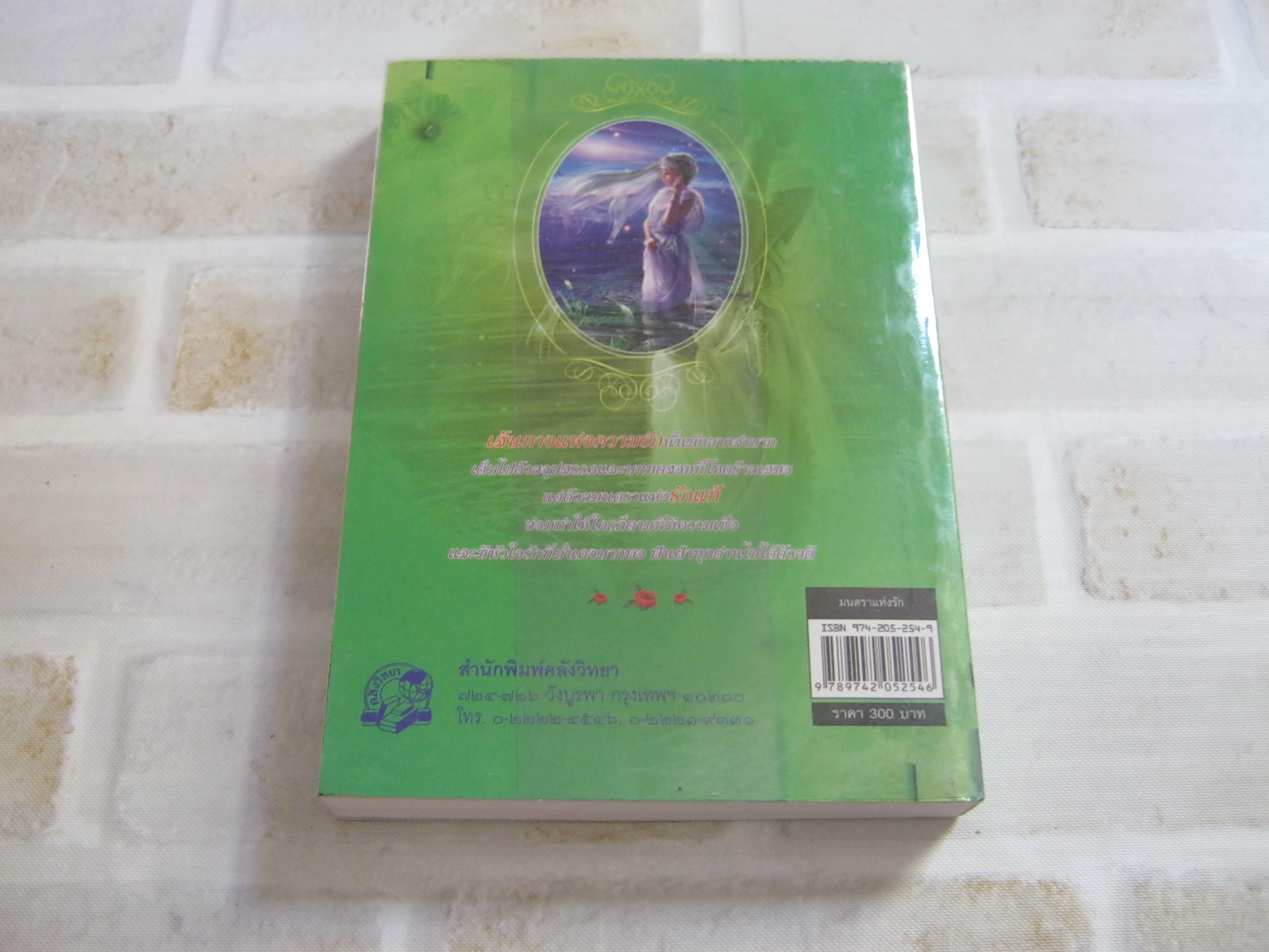 มนตราแห่งรัก เล่มเดียวจบ ไอริน เขียน