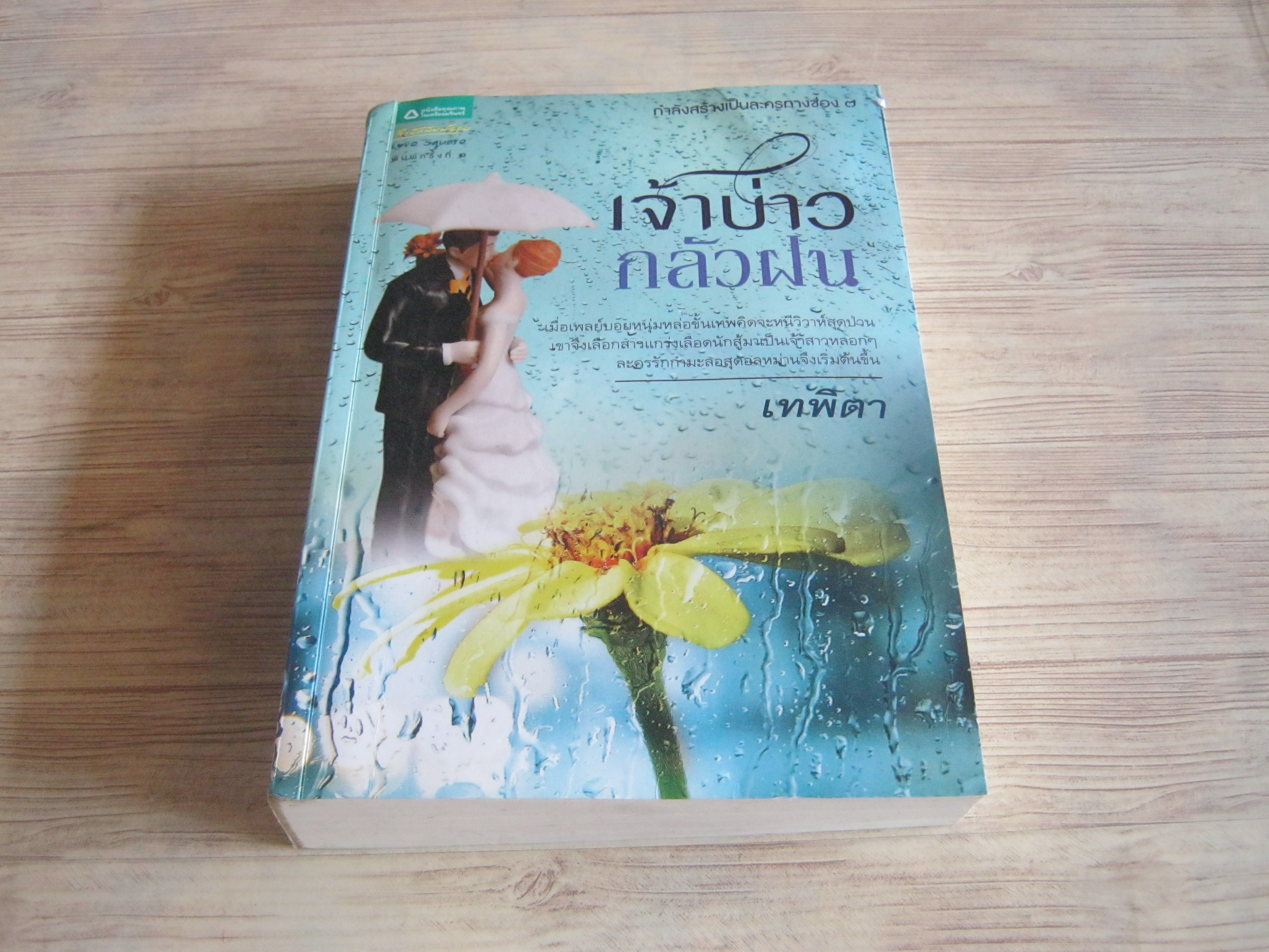 เจ้าบ่าวกลัวฝน เทพิตา เขียน