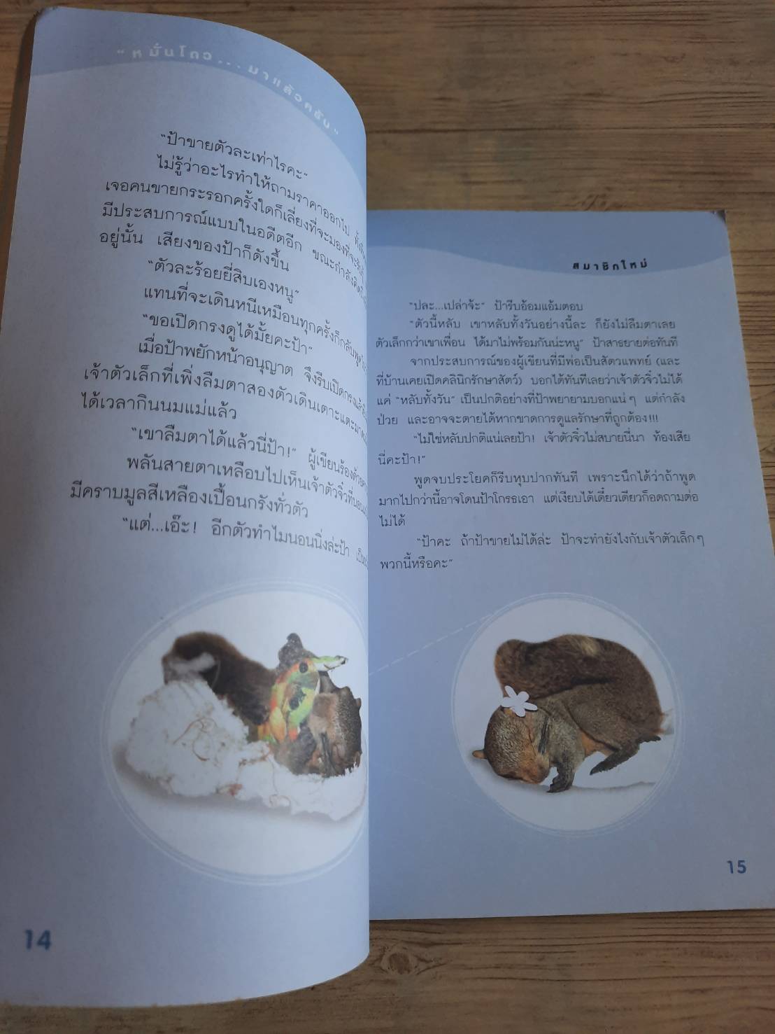 หมั่นโถว...มาแล้วครับ เริงฤทัย อุดมศิลป์ เรื่องและภาพ