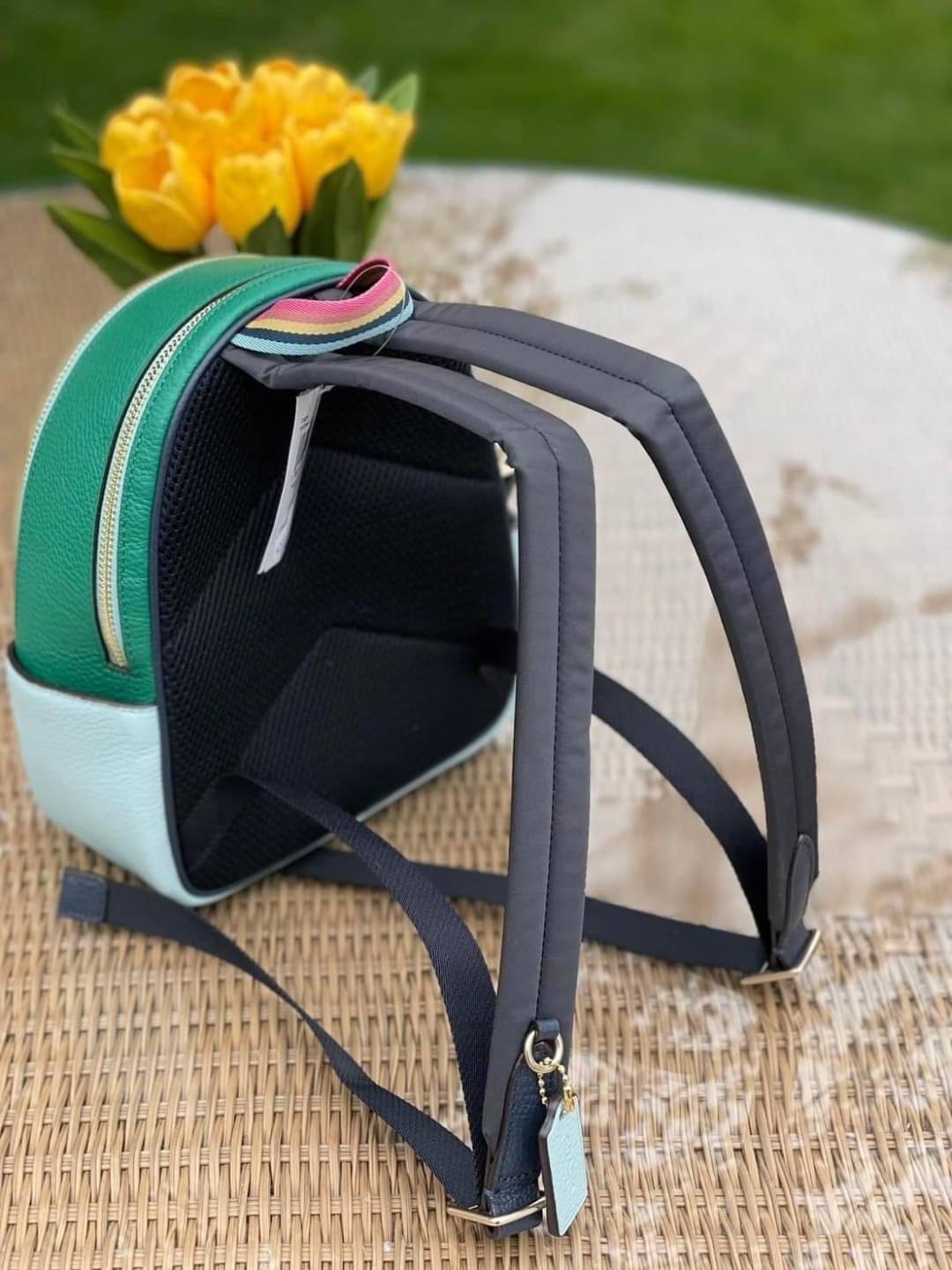 COACH Mini Court Backpack In Signature Canvas With Butterfly / With Radish C8259 C8257 🌈ต่อกันเลย สวยกันก่อน วางน้องไม่ลงเลยจริงๆค่าา😍 พร้อมส่ง! ยังไม่เข้าไทย กับกระเป๋าสะพายหลังแบบมีหูหิ้วในตัว บอกก่อนเลยว่าหนังของน้องทั้งนิ่ม ทั้งสวย อย่