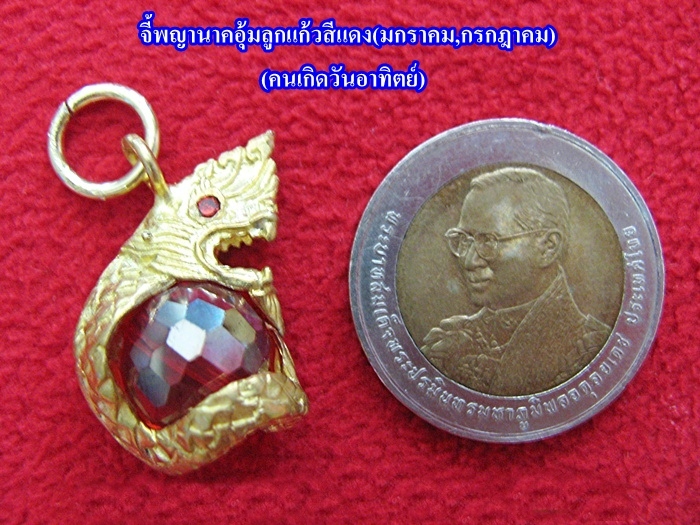 สินค้าหมดค่ะ จี้พญานาคอุ้มลูกแก้วสีแดง(มกราคม,กรกฎาคม)พร้อมใบคาถาค่ะ