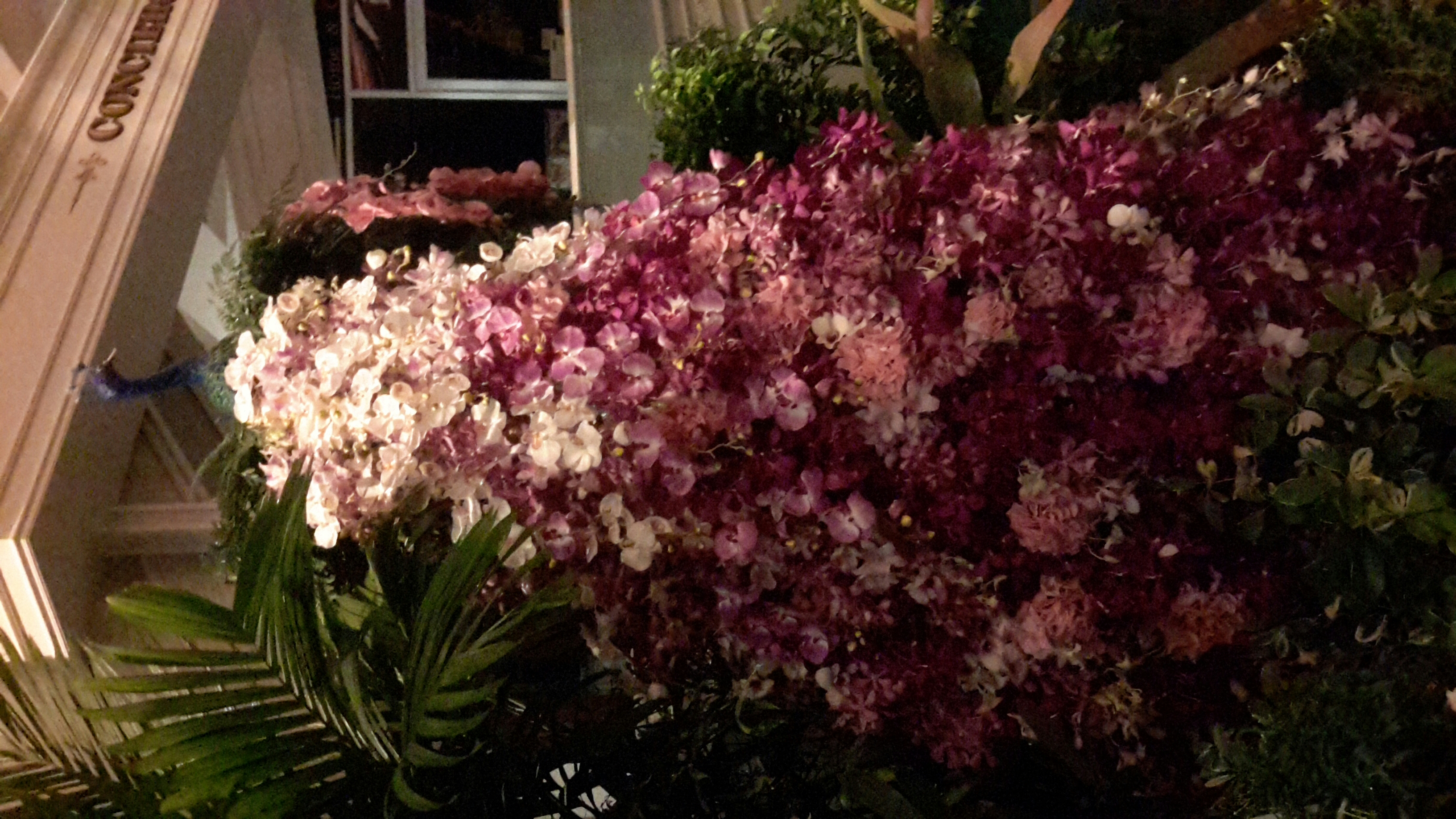 งานมหกรรมกล้วยไม้ที่ The Promenale แฟชั่นไอซ์แลน