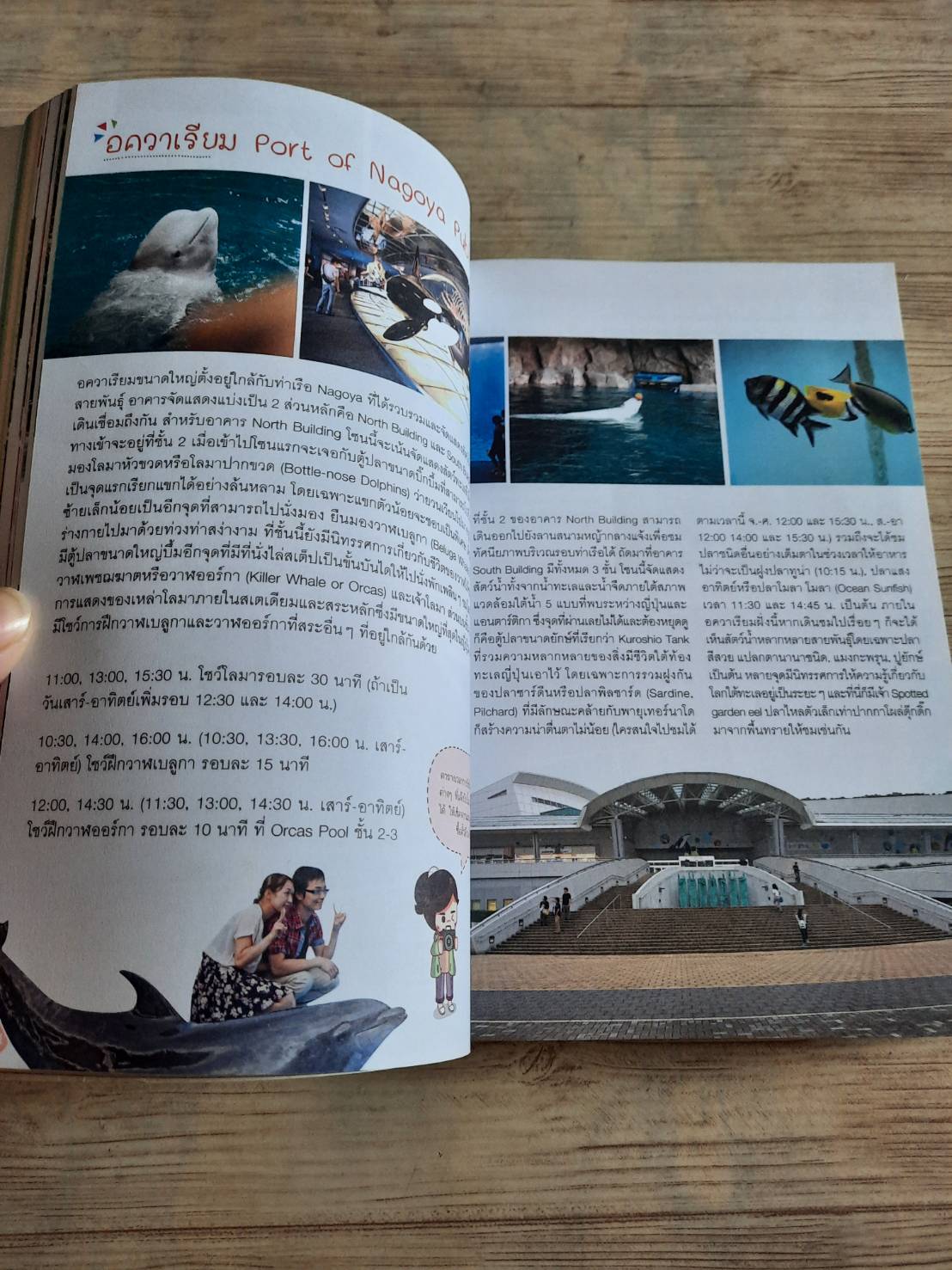 JAPAN CHUBU เที่ยวญี่ปุ่น ฉบับตะลุยจูบุ โดย DPlus Guide Team***สินค้าหมด***