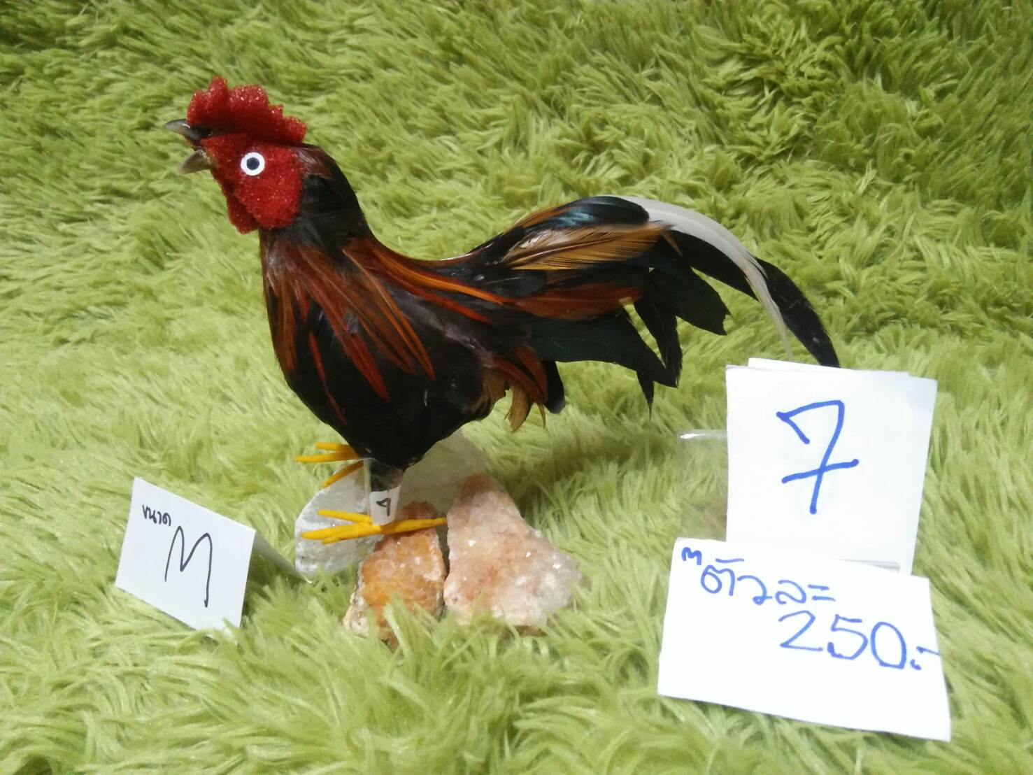 ไก่ปลอม โครงลวด ขนจริง สูง 12-13cm ยาว 15-22 cm