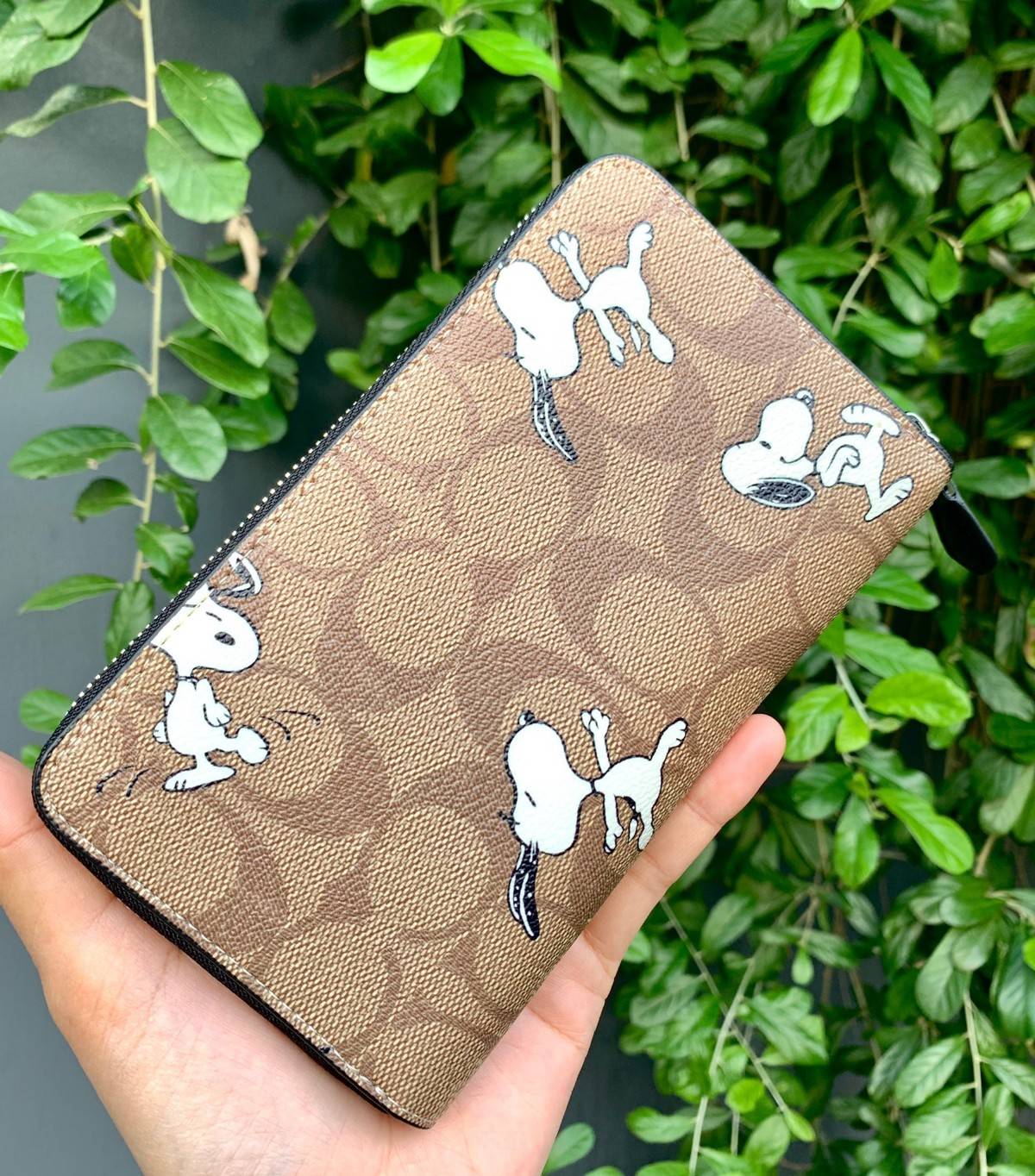 ทั้งสวย ทั้งน่ารัก อดใจไม่อยู่จ้าา💋COACH X PEANUTS MEDIUM ID ZIP WALLET WITH SNOOPY PRINT ((C4123)) 📣พร้อมส่งค่ะ! กระเป๋าเงินใบกลาง ขนาดพอดีๆ 🔺ตัวกระเป๋าทั้งใบปริ้นลายการ์ตูนSnoopy ดูซุกซน น่ารักมากๆค่ะ