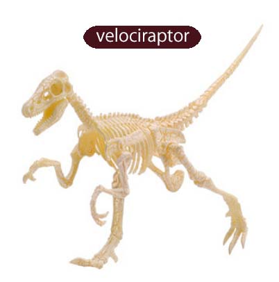 ของเล่นชุดขุดฟอสซิลโครงกระดูกไดโนเสาร์สำหรับเด็ก