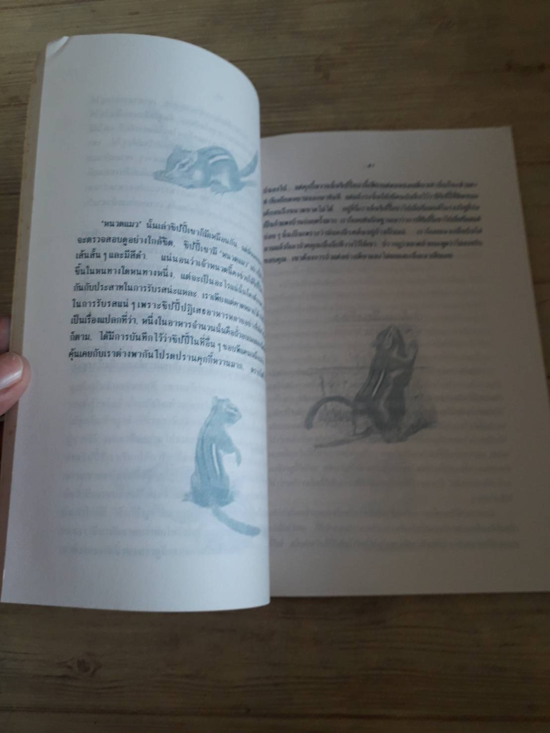 ชิปปี้ กระรอกน้อยแสนซน เอ็ดวิน ตูนิส เรื่องและภาพ แววจันทร์ แพรเมฆ แปล***สินค้าหมด***