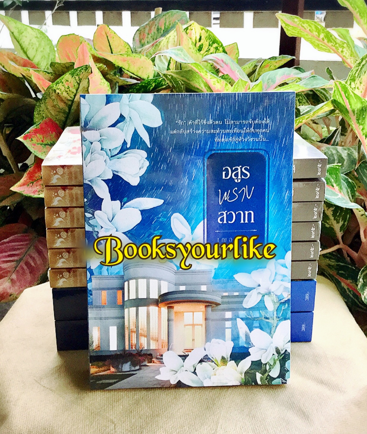 ส่งฟรี,อสูรพรางสวาท, นิยายทำมือ เพิ่มตอนพิเศษ,ผู้แต่ง,เฌอรามิล