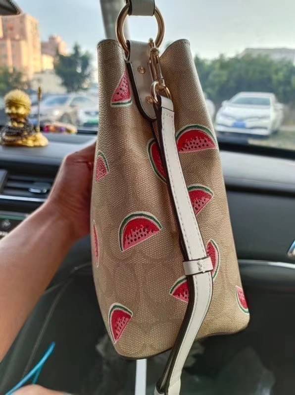 OUTTLET 】COACH SMALL TOWN BUCKET BAG IN SIGNATURE CANVAS WITH WATERMELON PRINT